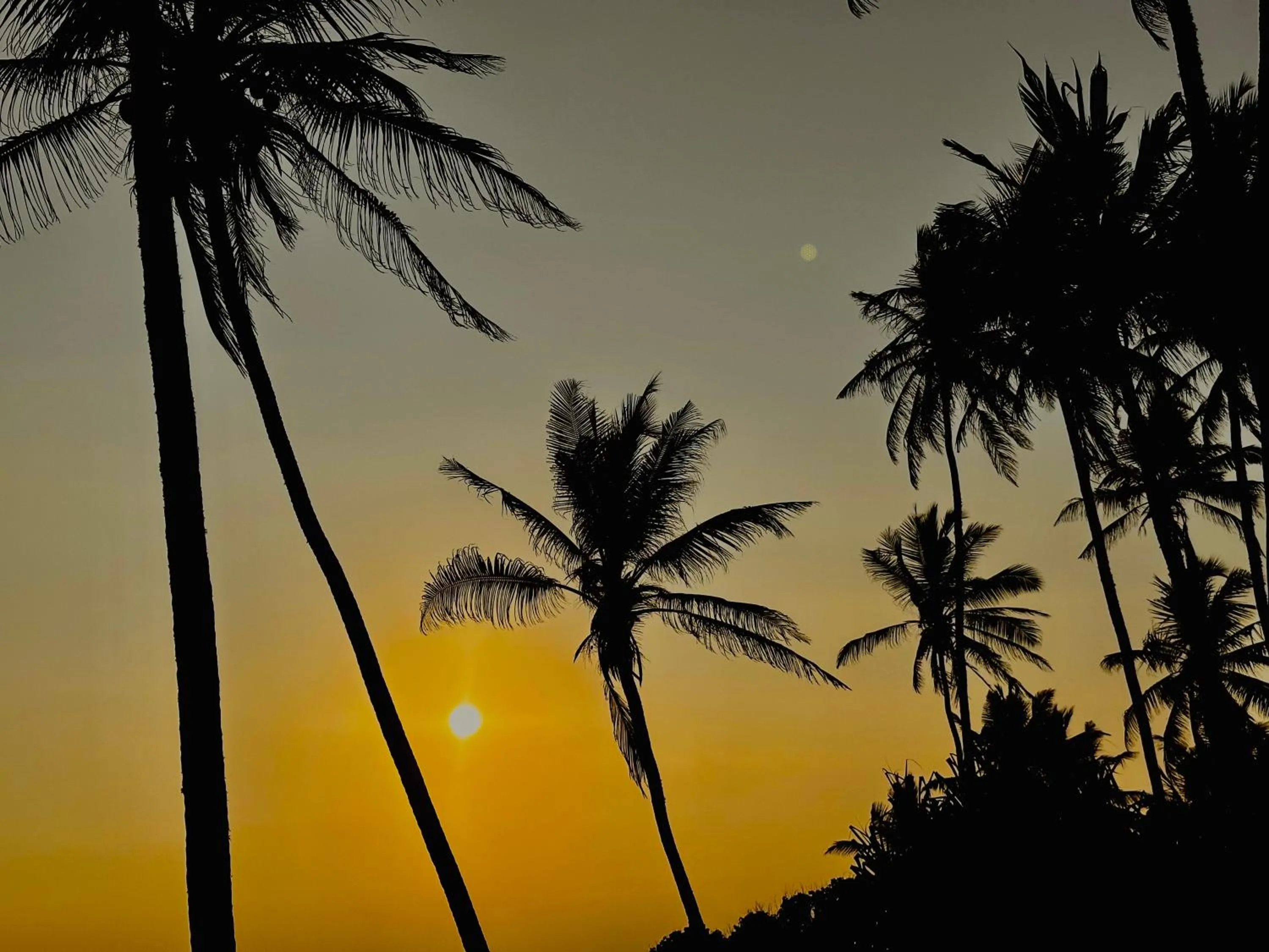 Rekawa Turtle Gate Hotel