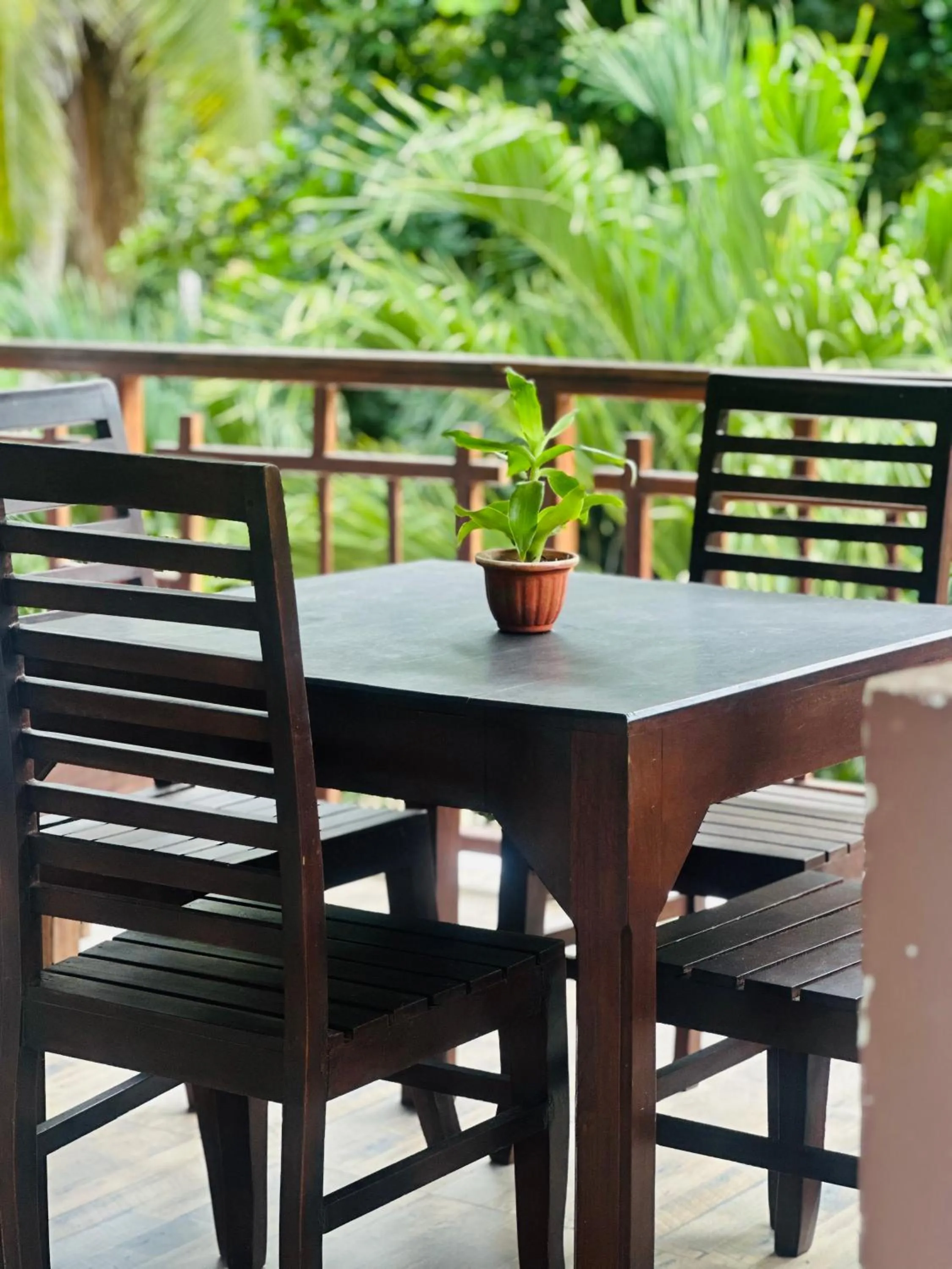 Patio in Rekawa Turtle Gate Hotel