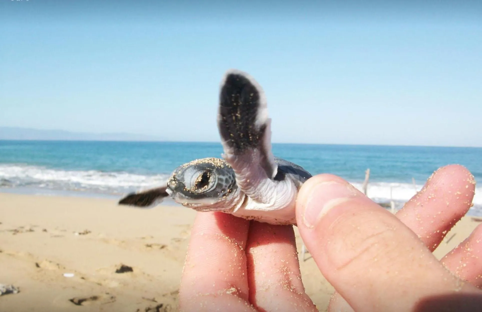 Natural landscape in Rekawa Turtle Gate Hotel