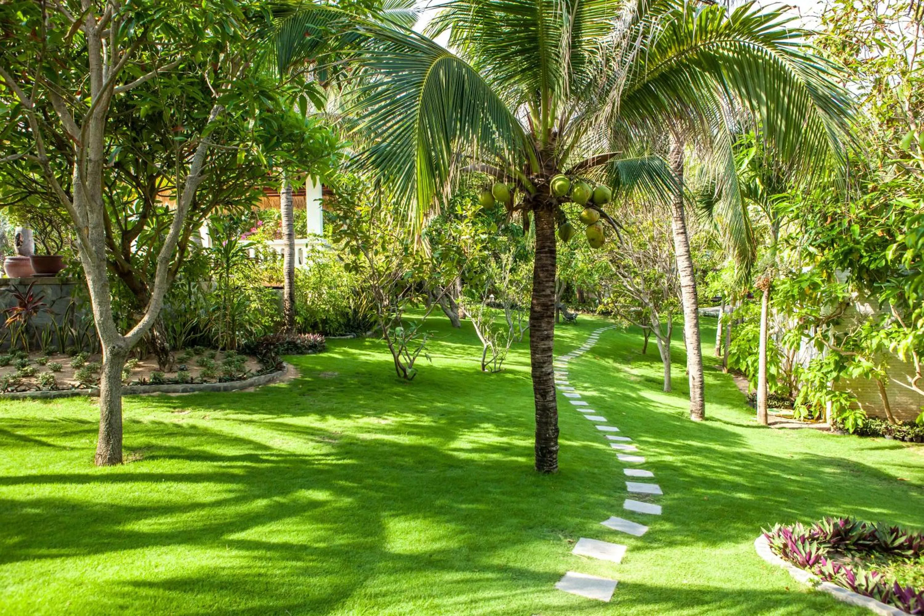 Garden in Allezboo Beach Resort & Spa