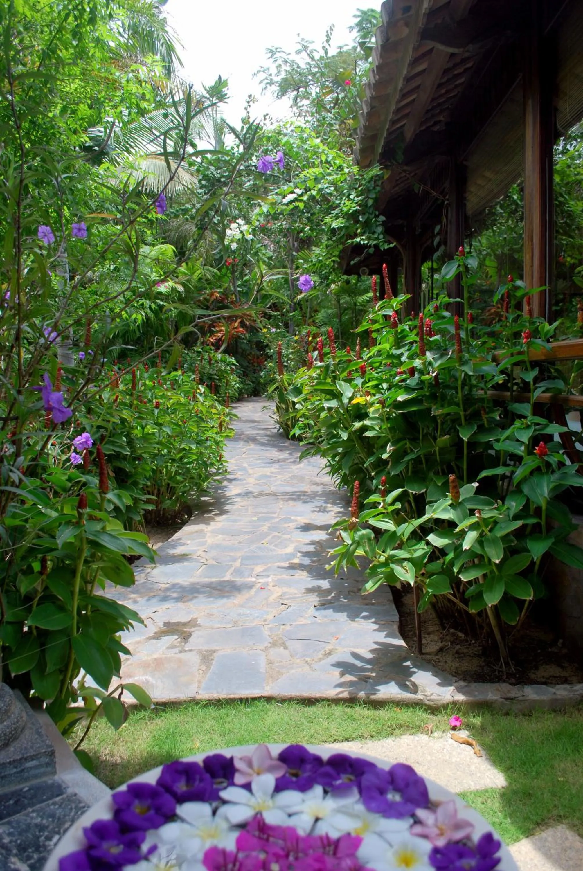 Garden in Allezboo Beach Resort & Spa