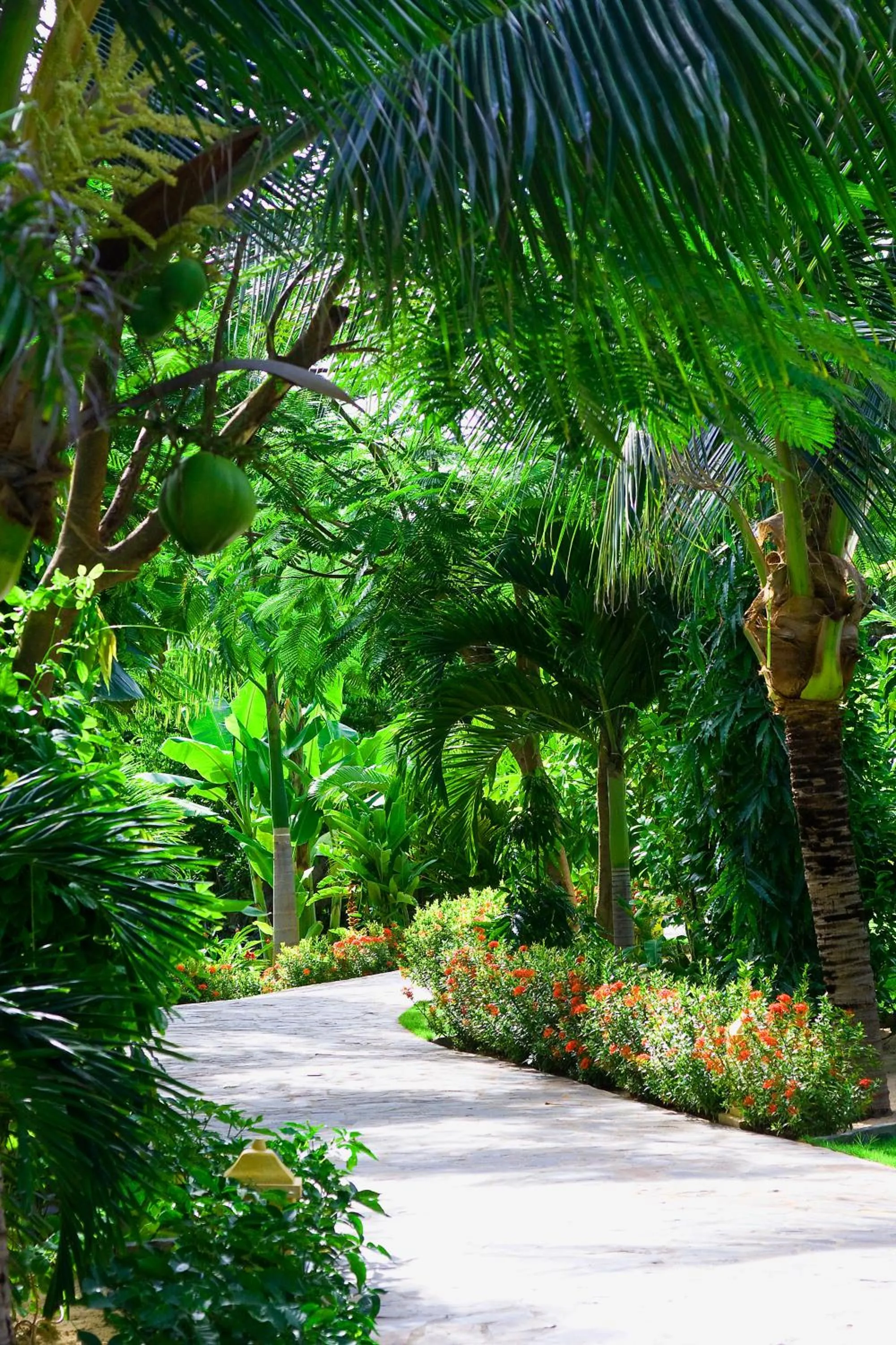 Garden in Allezboo Beach Resort & Spa