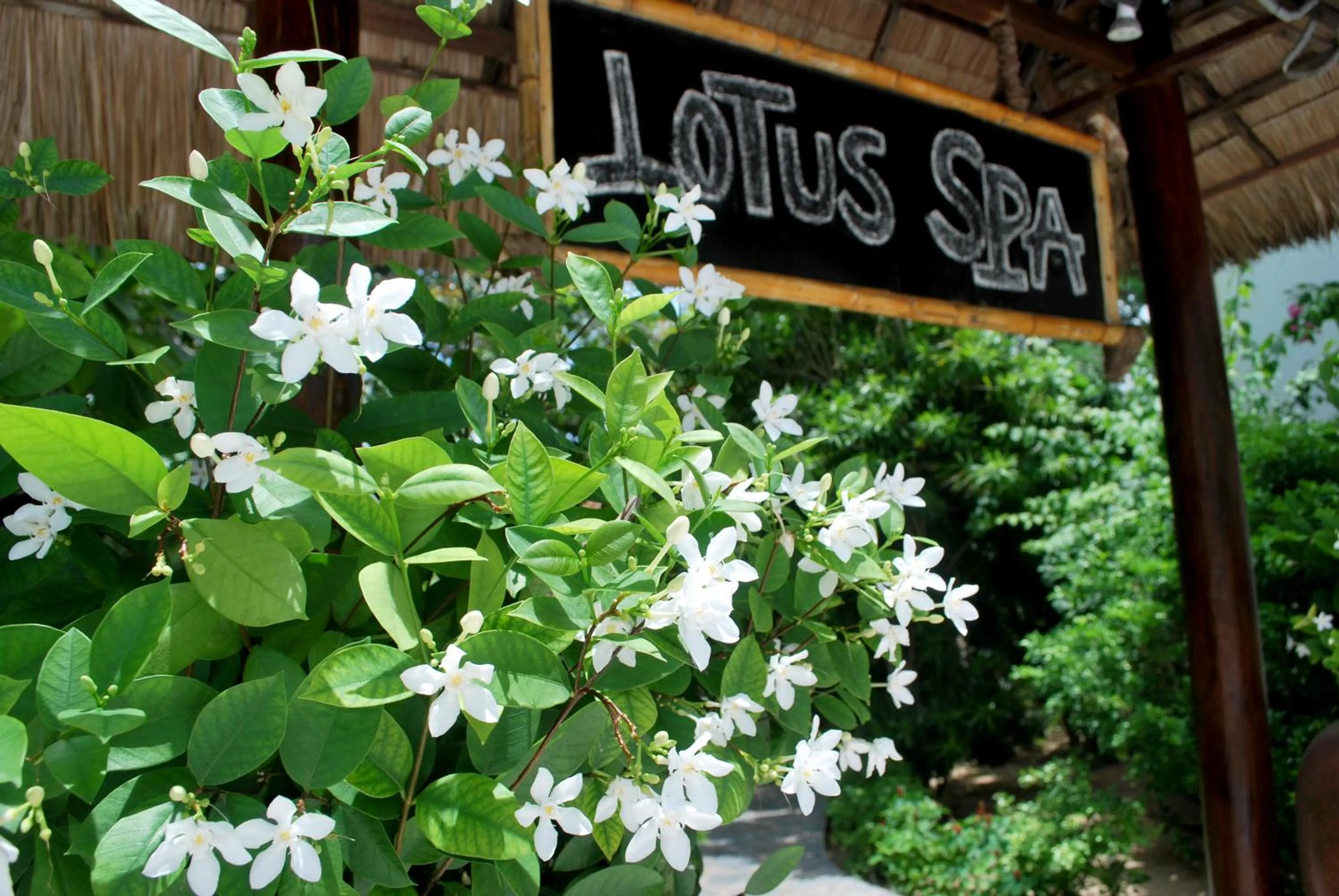 Spa and wellness centre/facilities in Allezboo Beach Resort & Spa