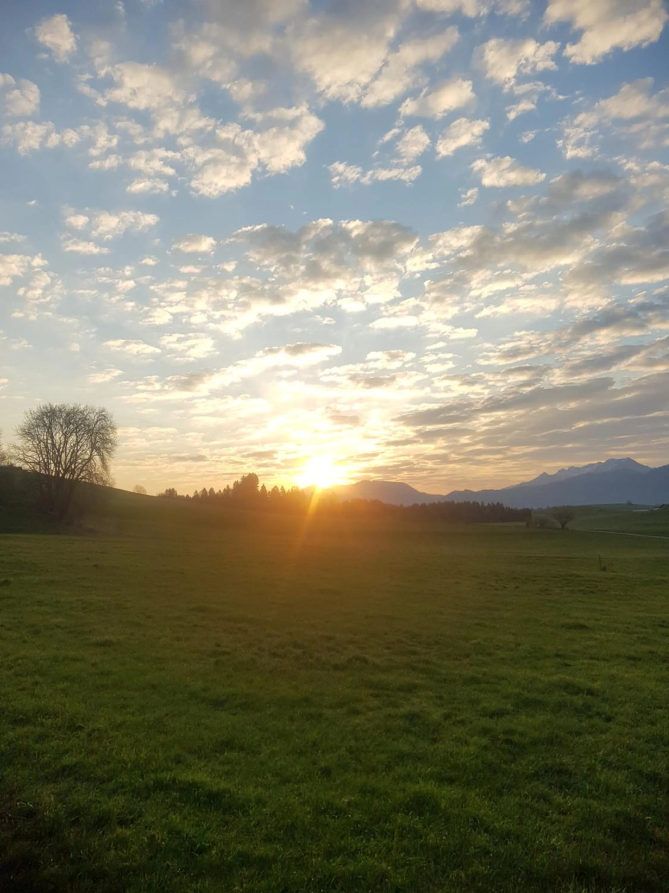 Natural landscape in Hotel Alpenglühn