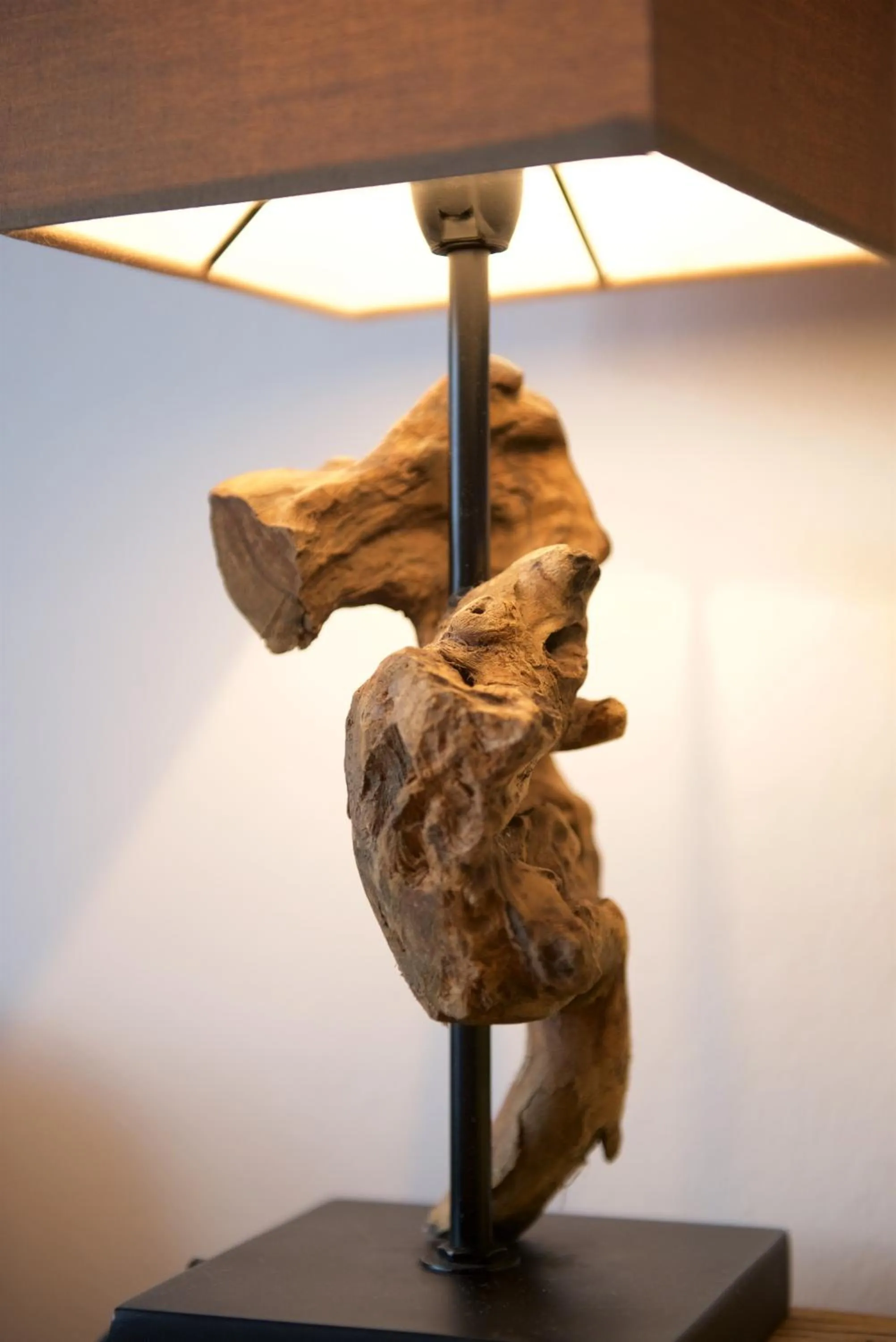 Area and facilities in Hotel Alpenglühn