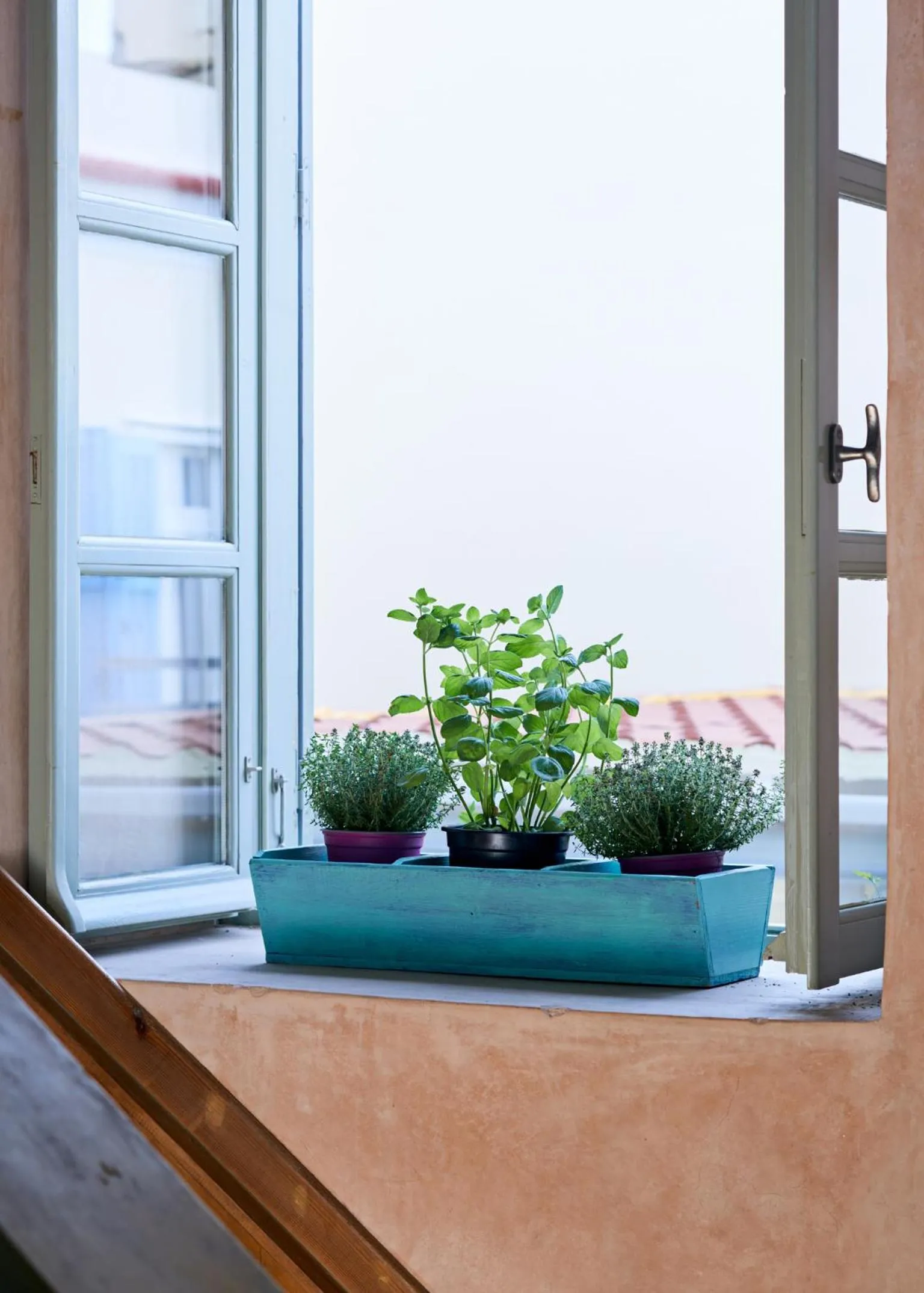 View (from property/room) in Guesthouse Lila