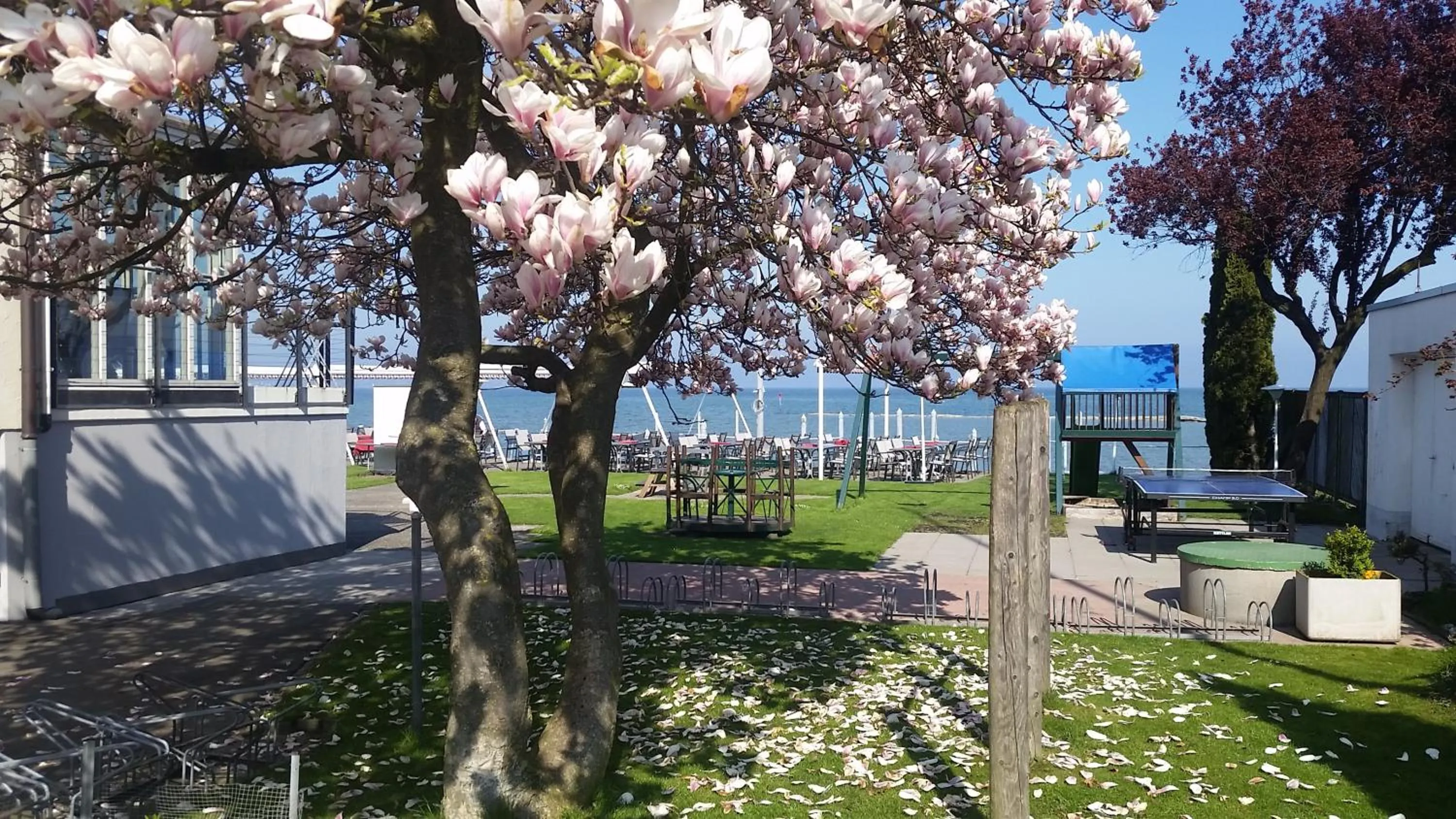 Garden in Bodenseehotel Weisses Rössli