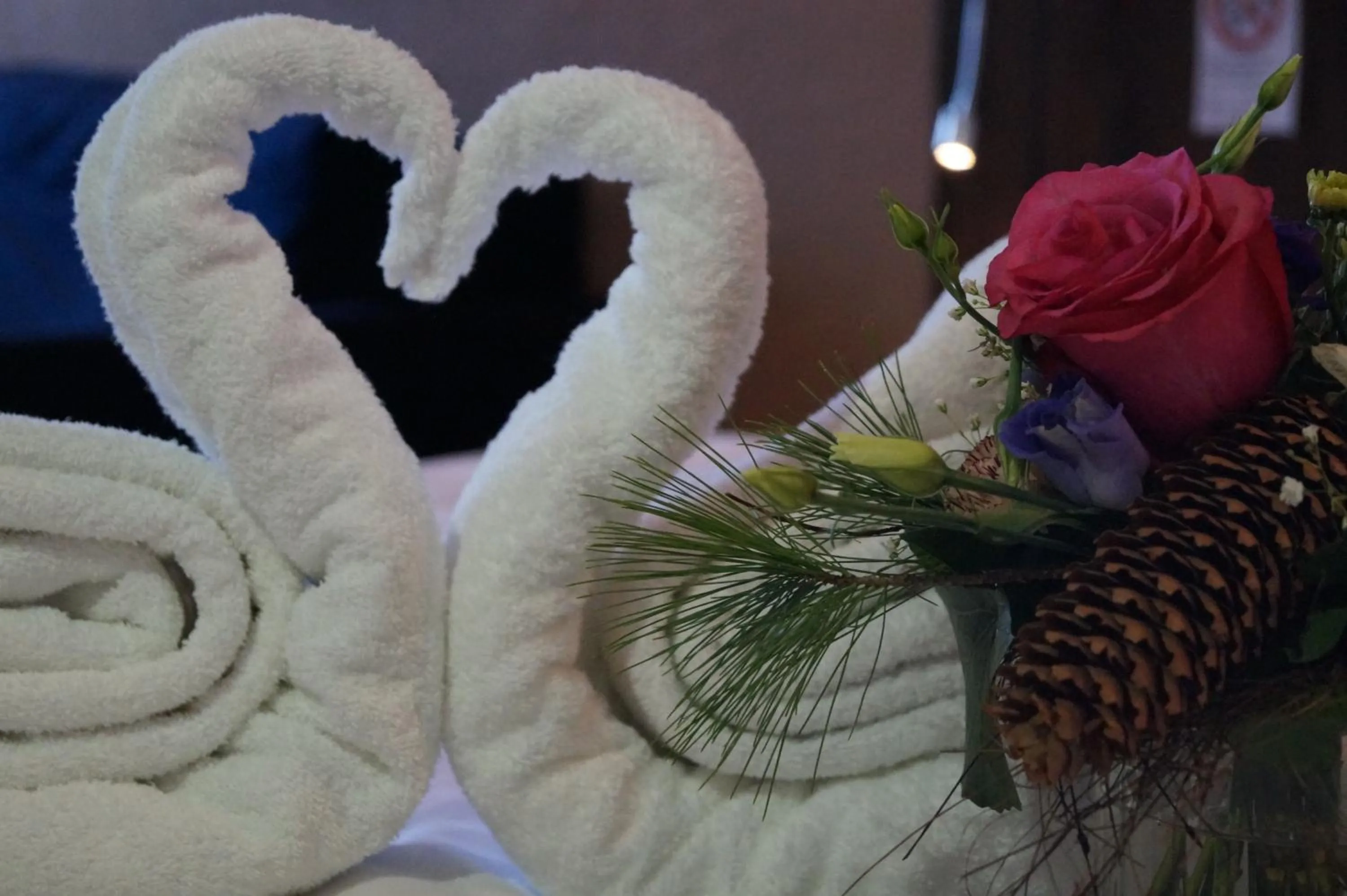 Bed in Bodenseehotel Weisses Rössli