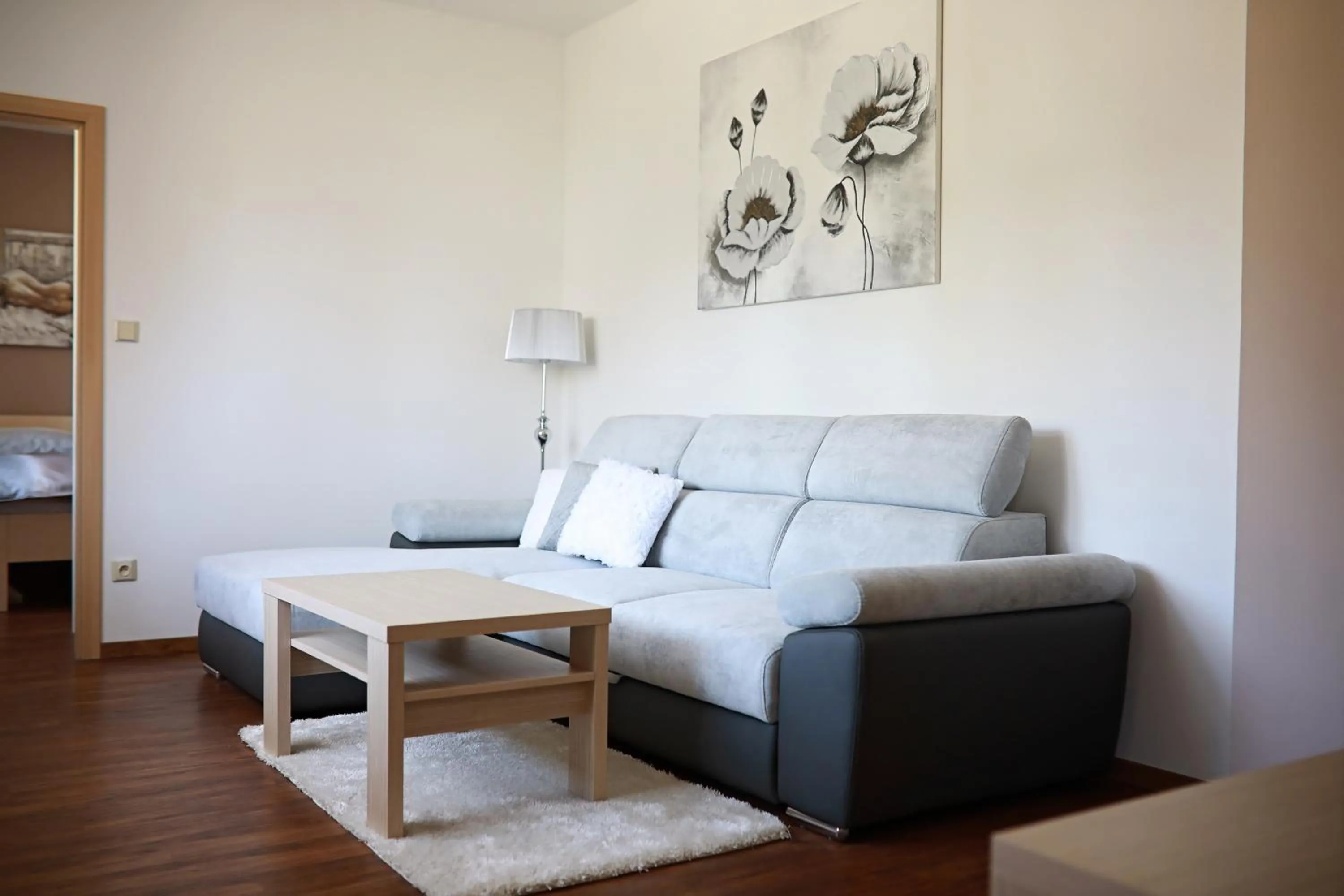 Living room in Penzion Sokolská