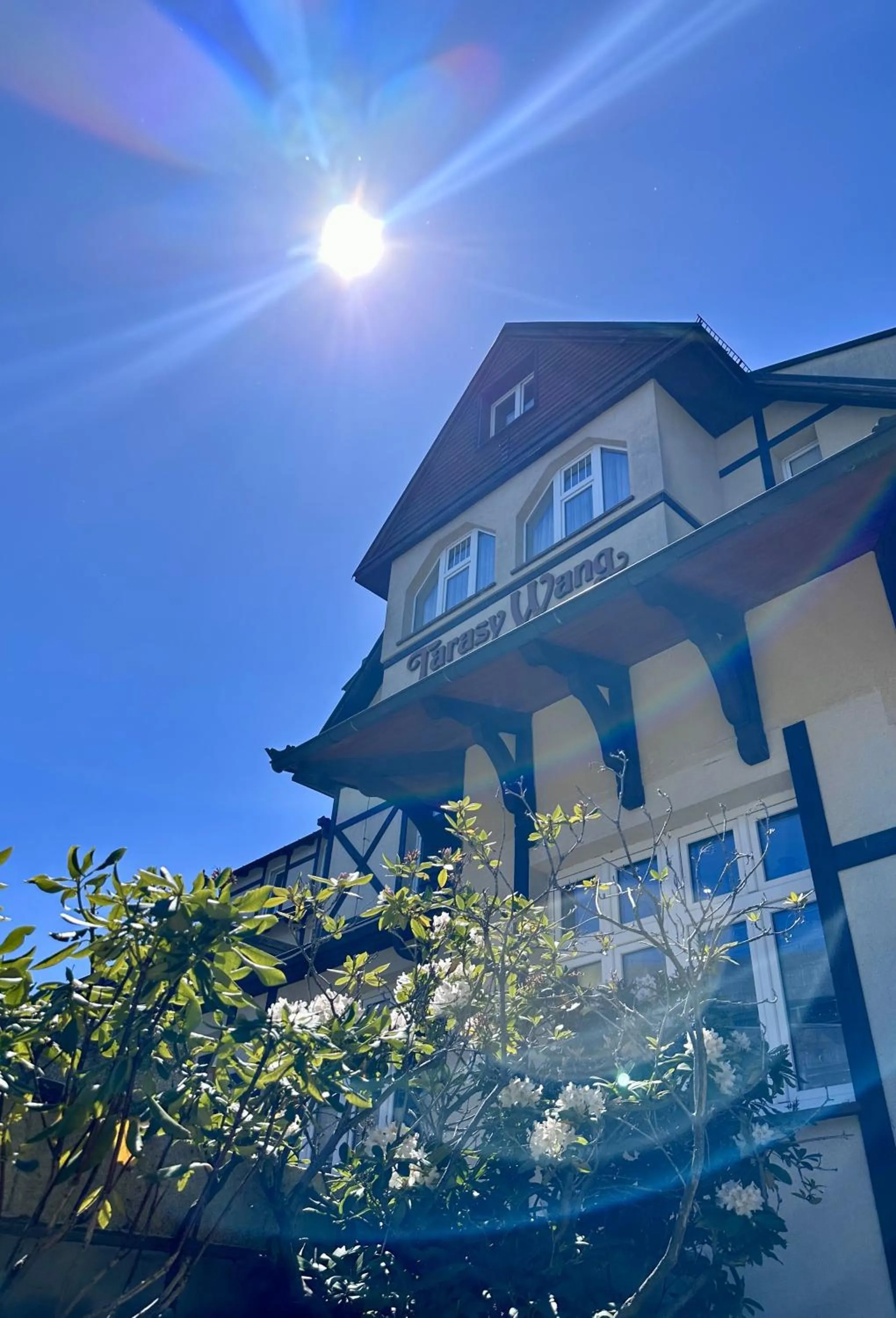 Property building in Tarasy Wang