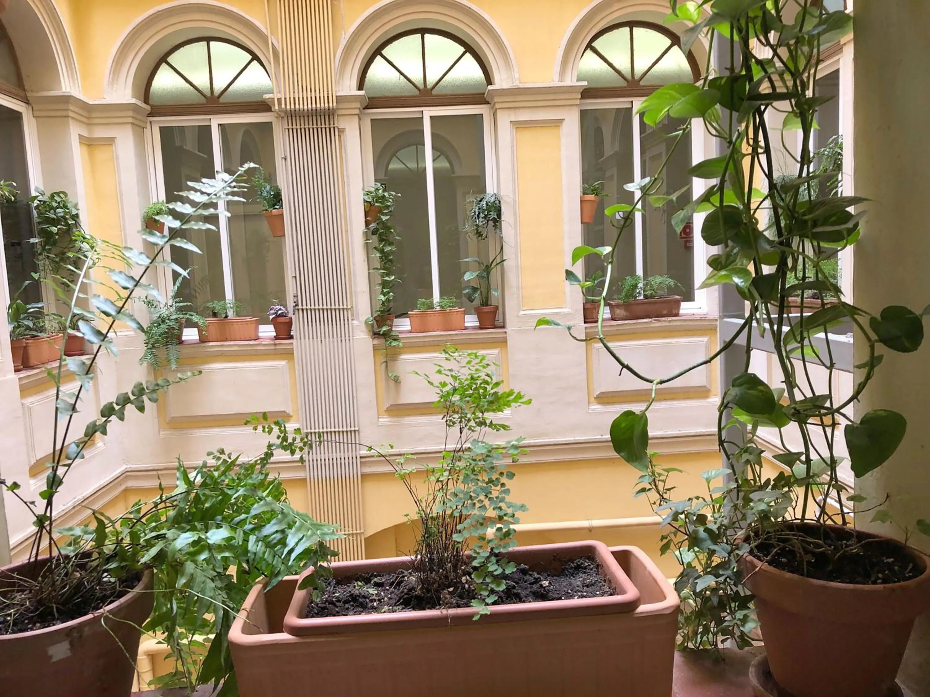 Property building in Plaza Goya Rooms