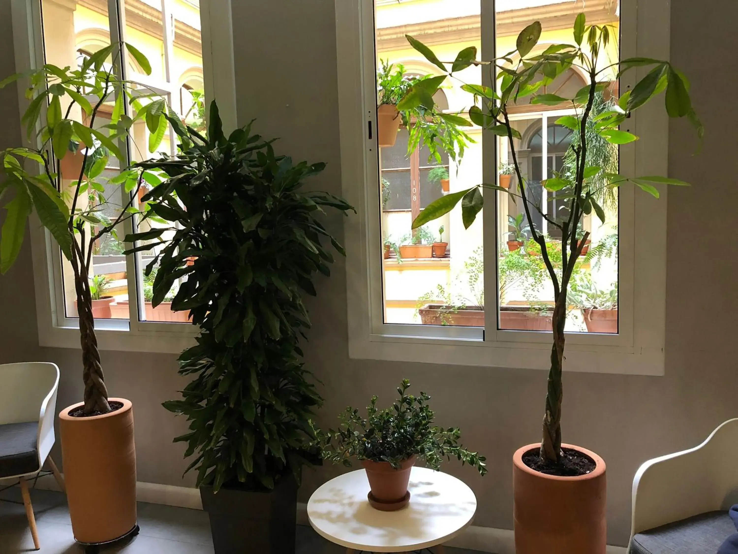 Property building in Plaza Goya Rooms Property building in Plaza Goya Rooms