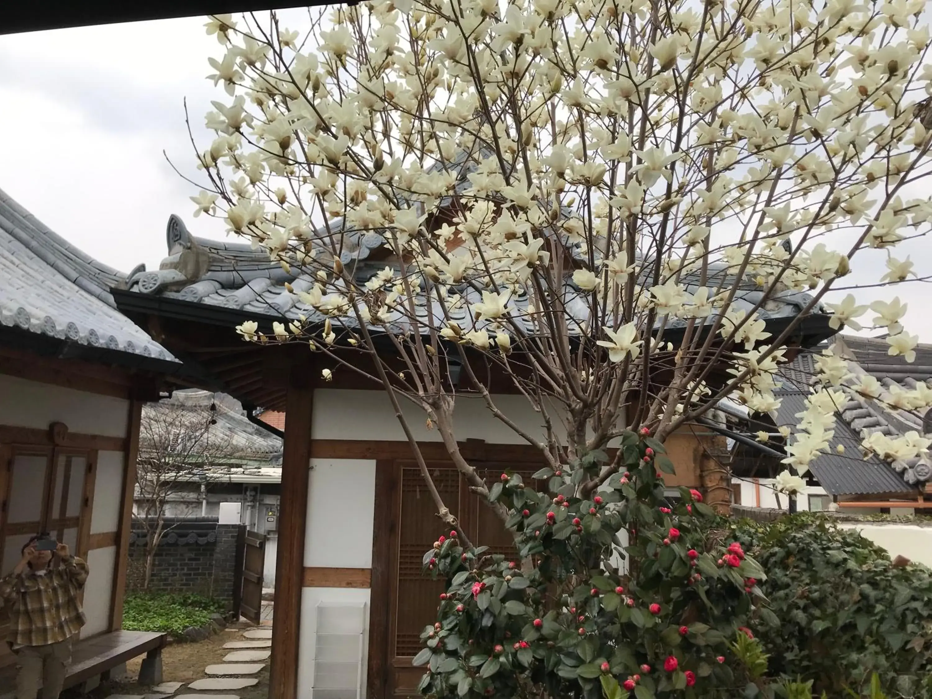 Property building in Sarangroo Property building in Sarangroo