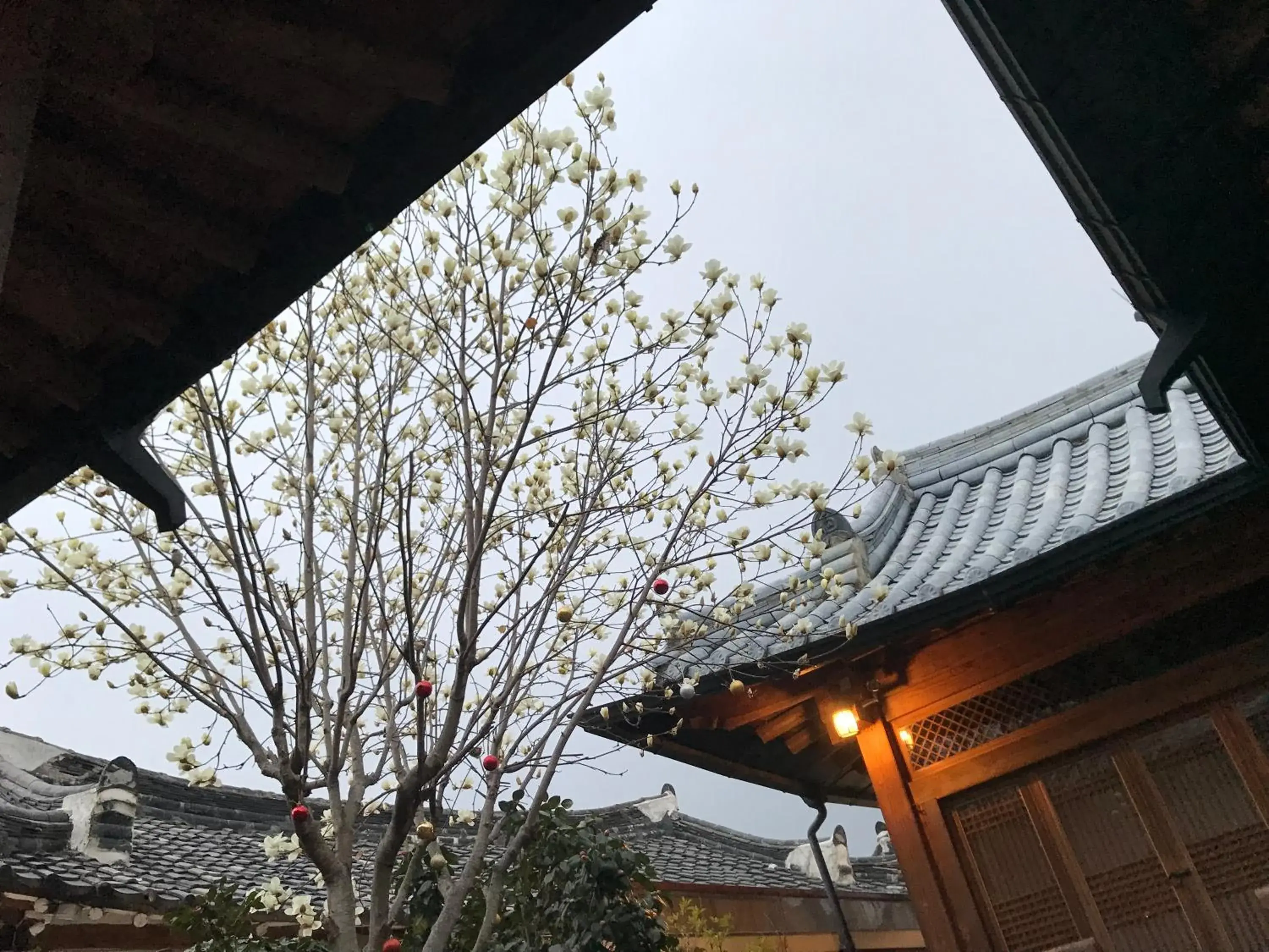 Property building in Sarangroo Property building in Sarangroo