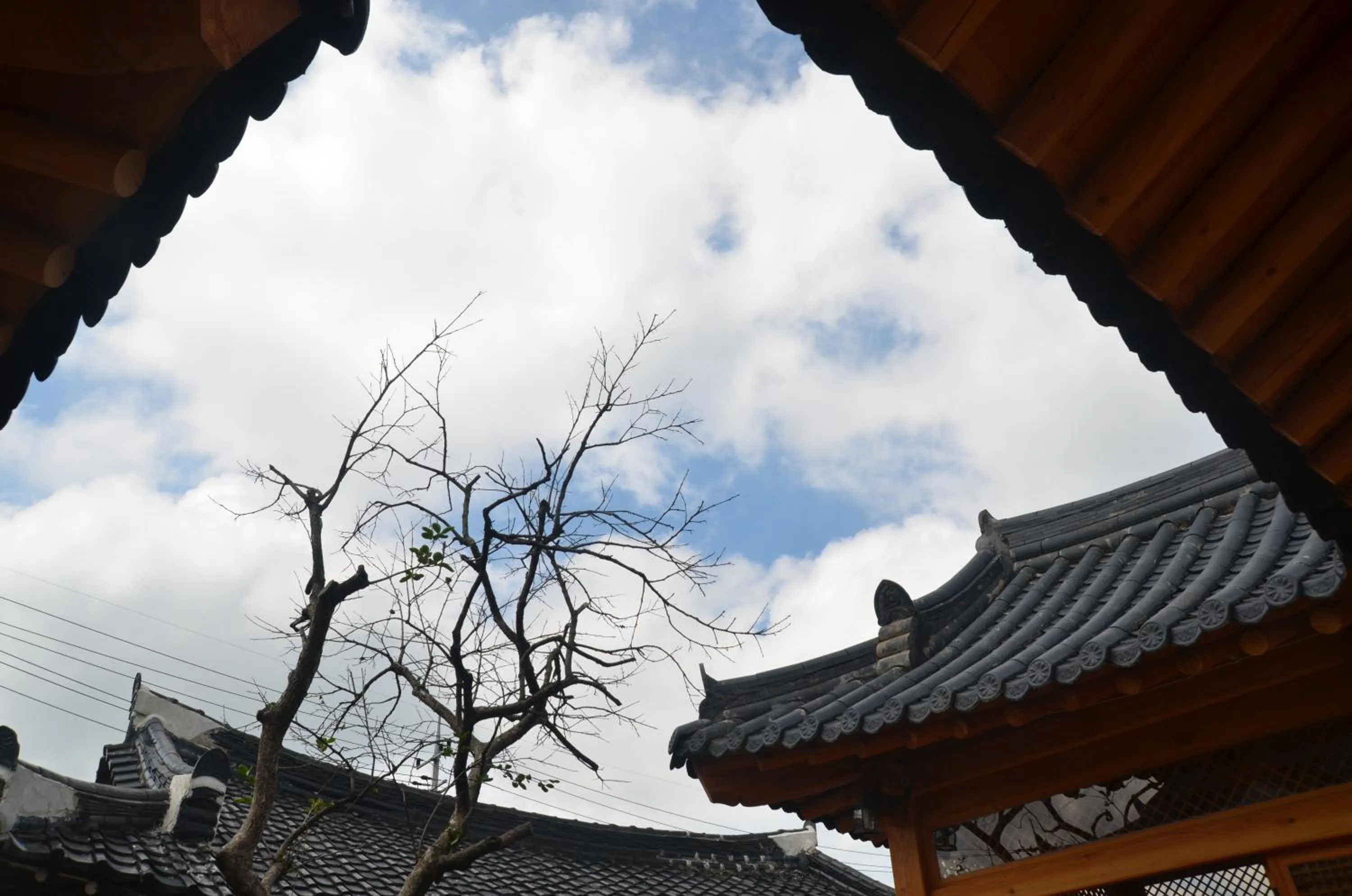 Garden view in Sarangroo
