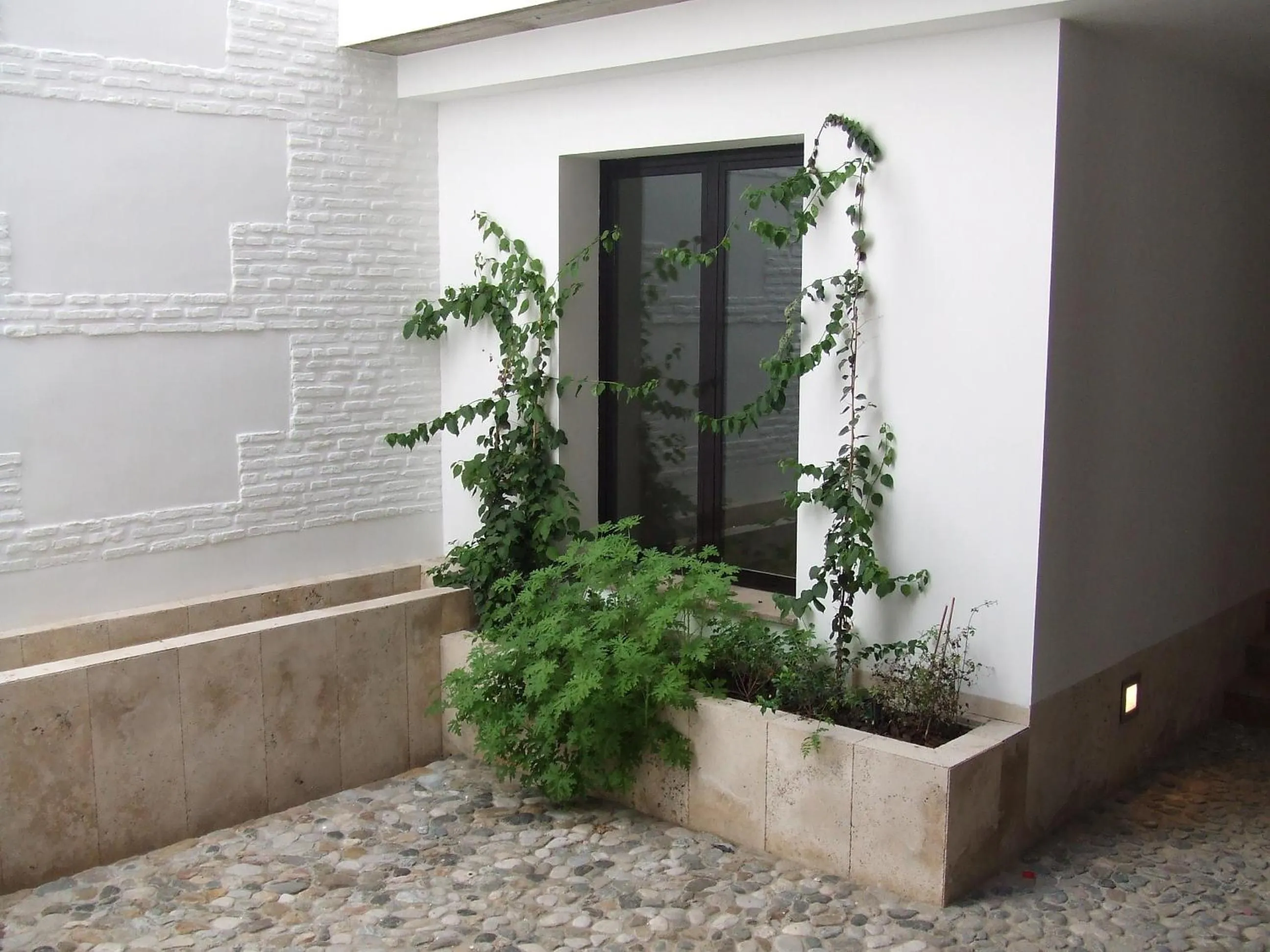 Facade/entrance in Apartamentos Coronado