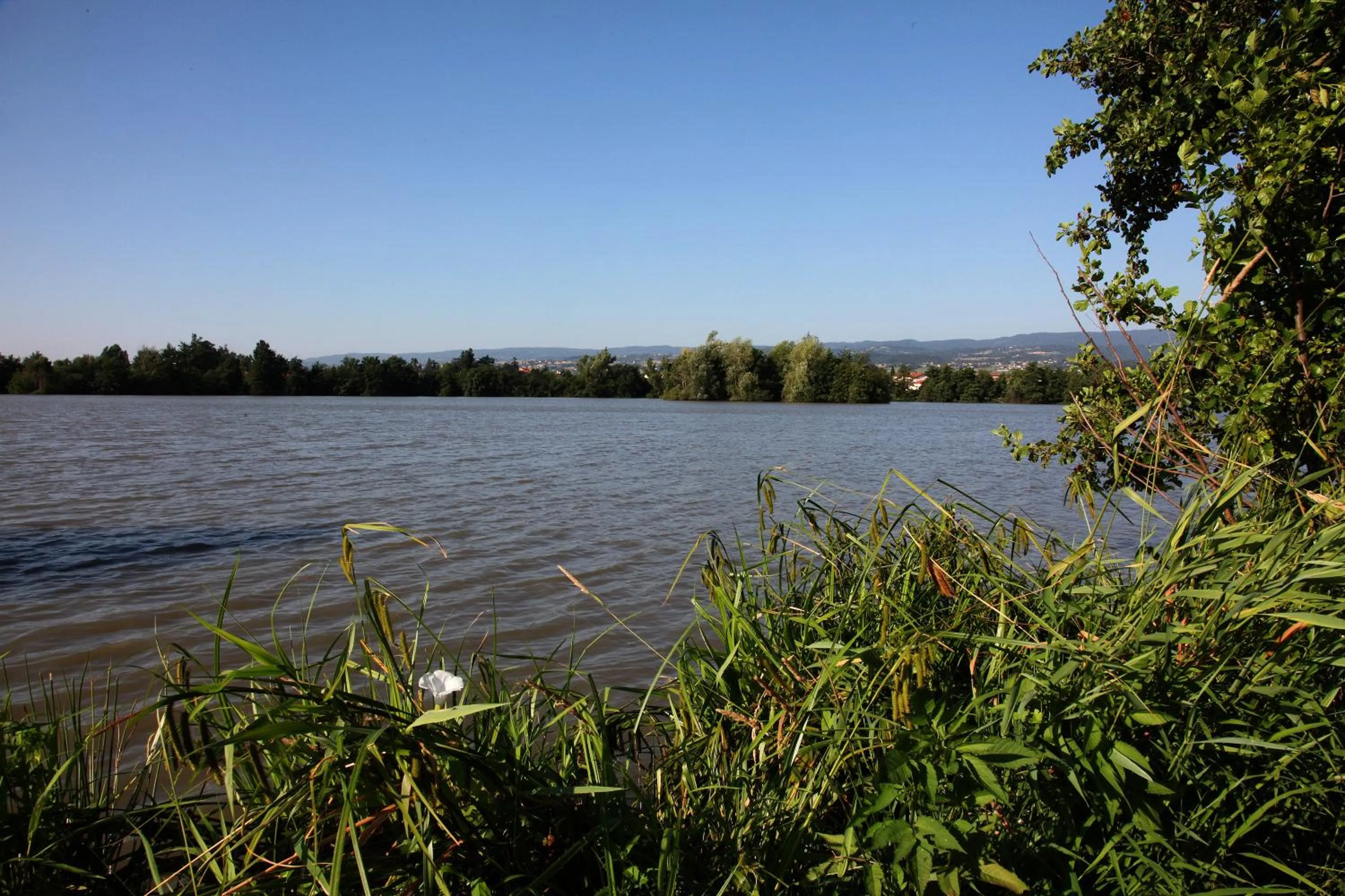 Area and facilities in Les Étoiles Du Forez