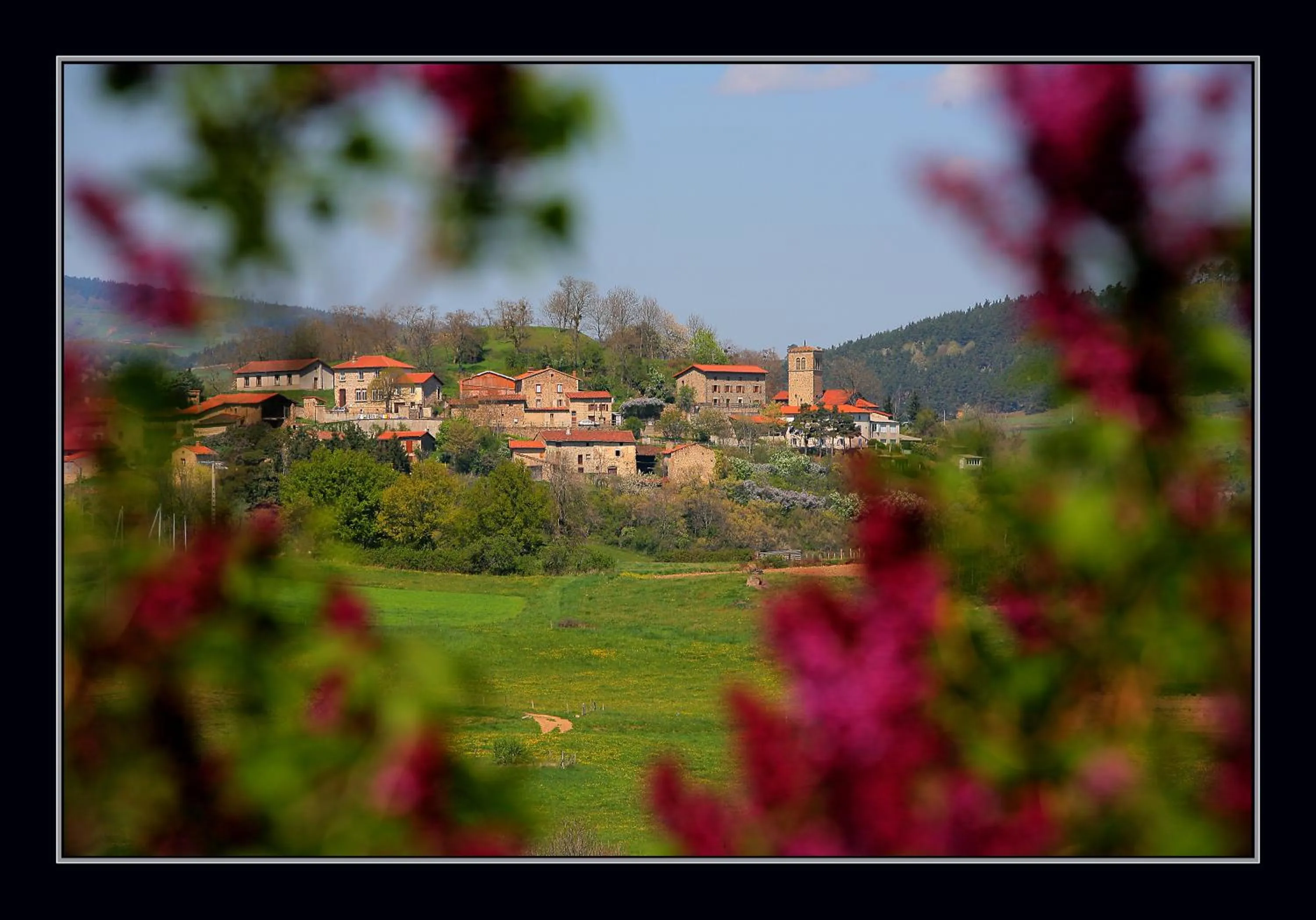 Neighbourhood in Les Étoiles Du Forez