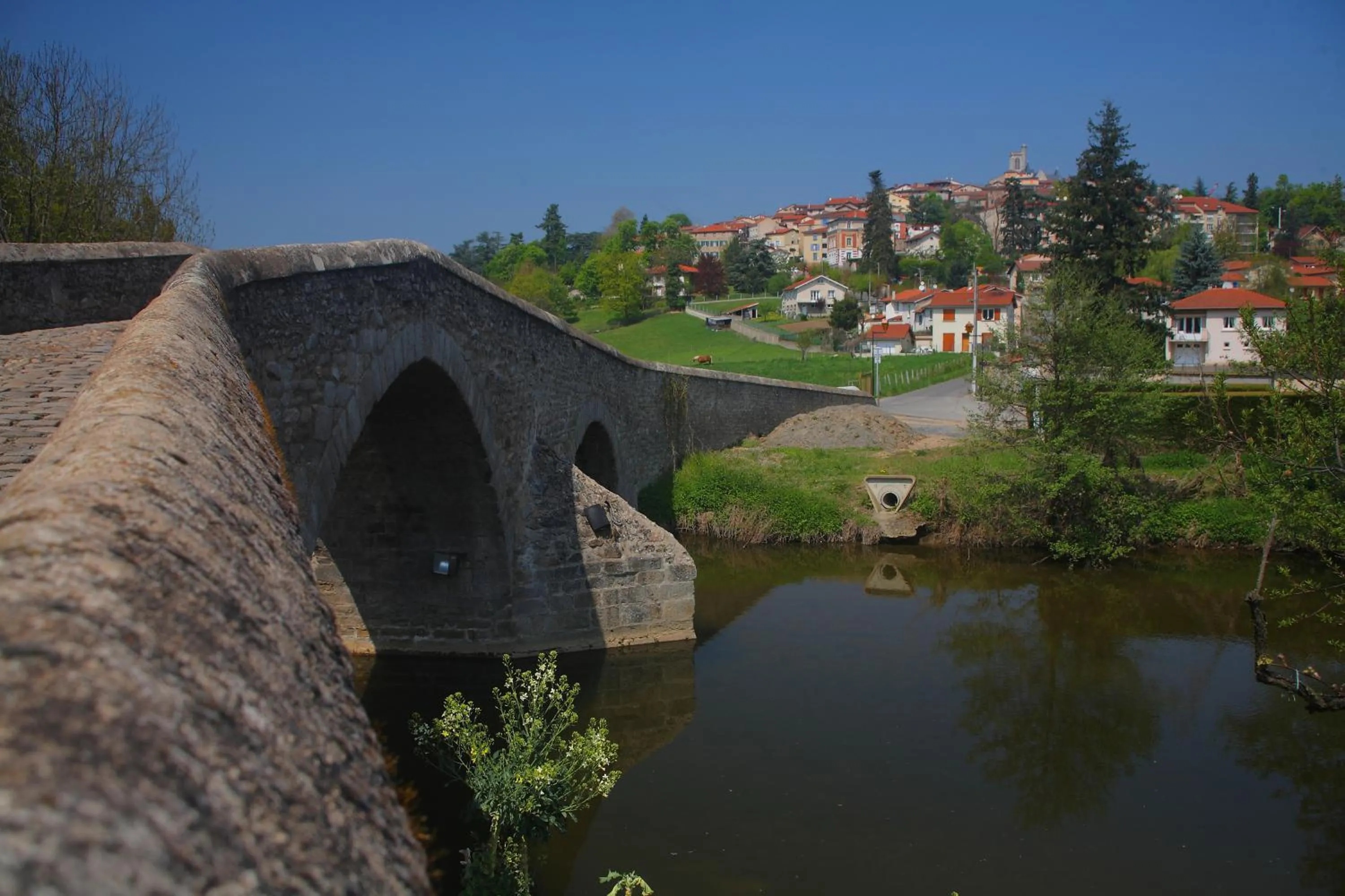 Area and facilities in Les Étoiles Du Forez