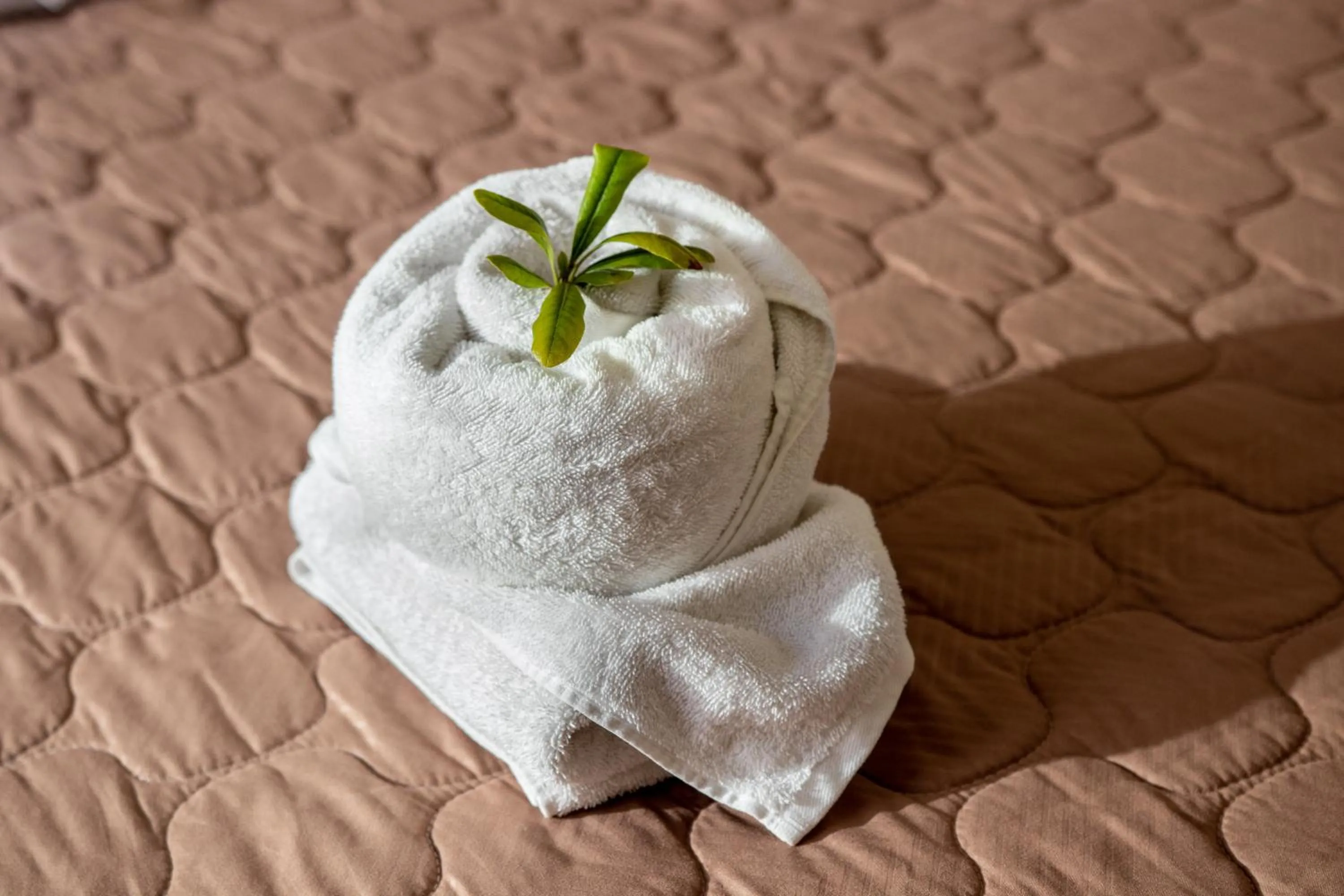 towels in Anna Katerina Apartments