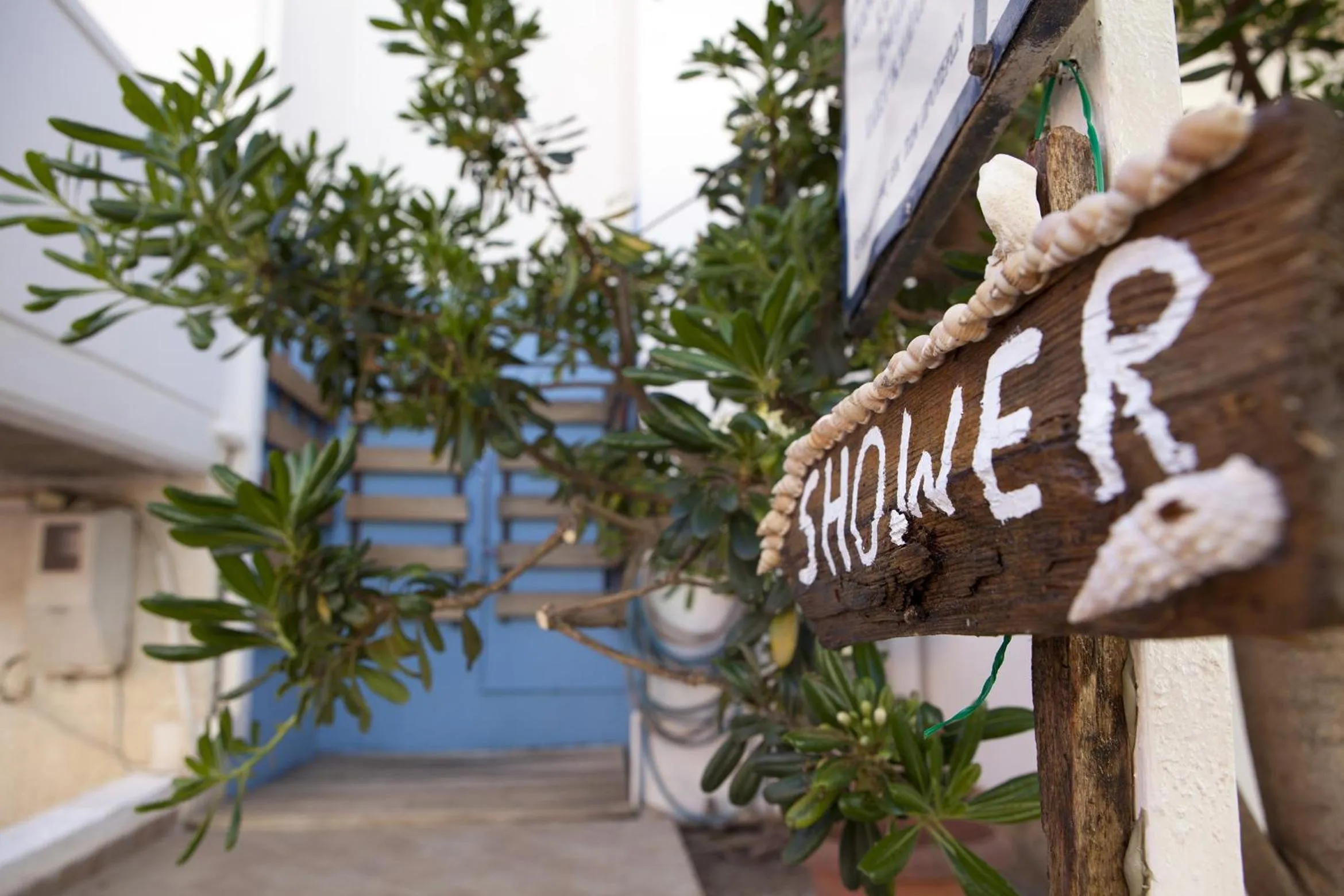 Garden in Anna Katerina Apartments