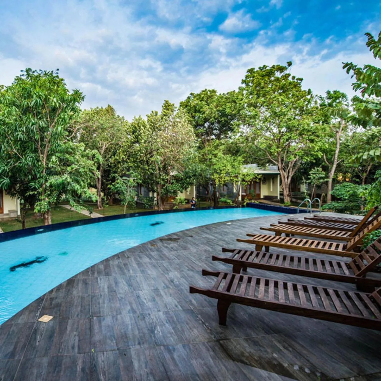 Natural landscape in Sigiri Asna Nature Resort