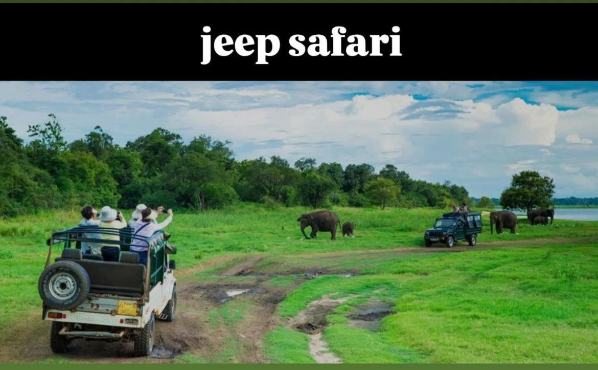 Activities in Amelia Resort