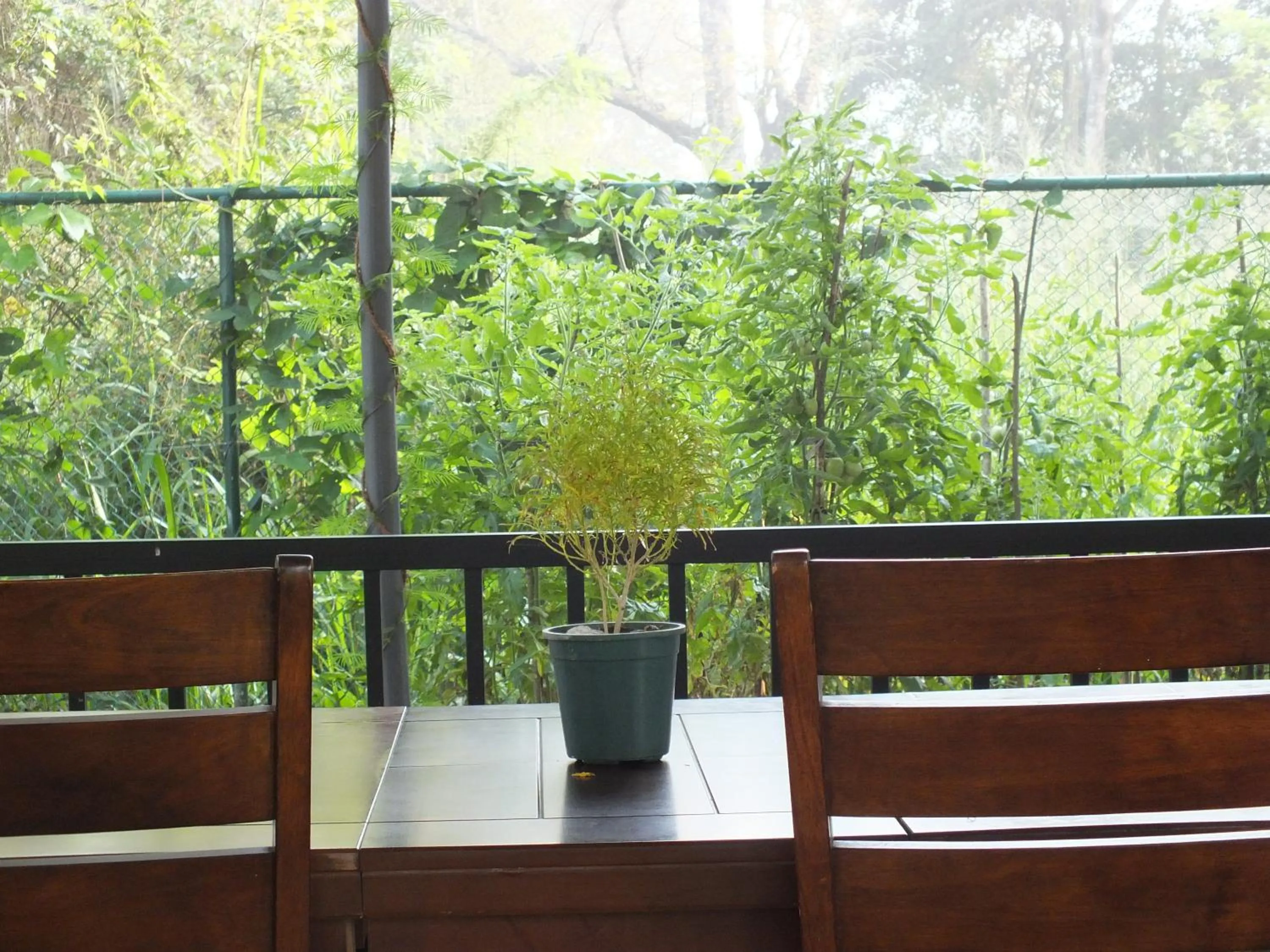 Banquet/Function facilities in Amelia Resort