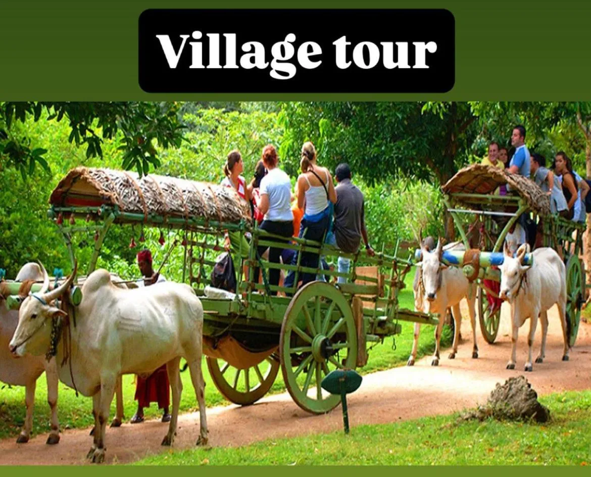 Activities in Amelia Resort