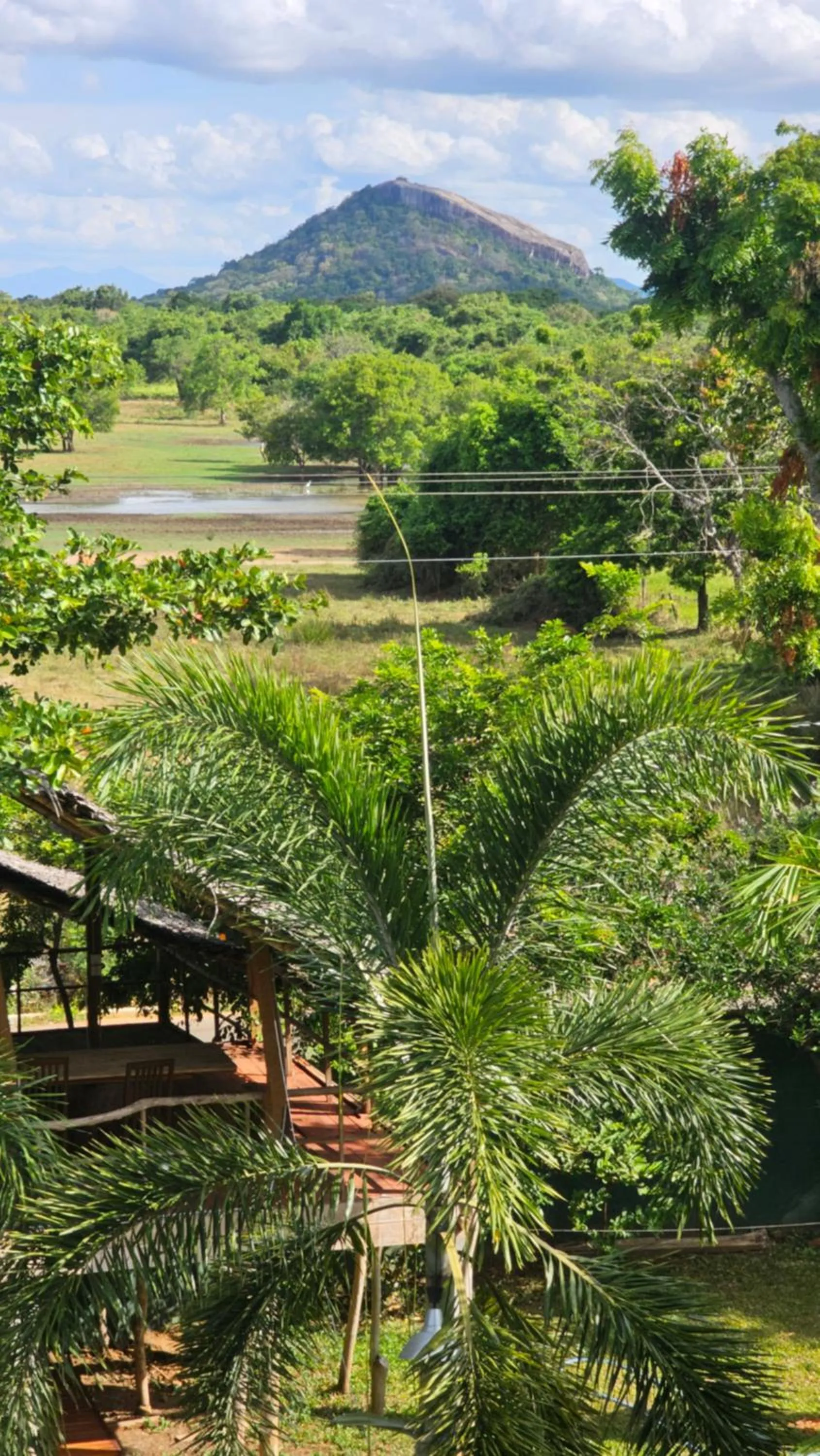 Natural landscape in Amelia Resort
