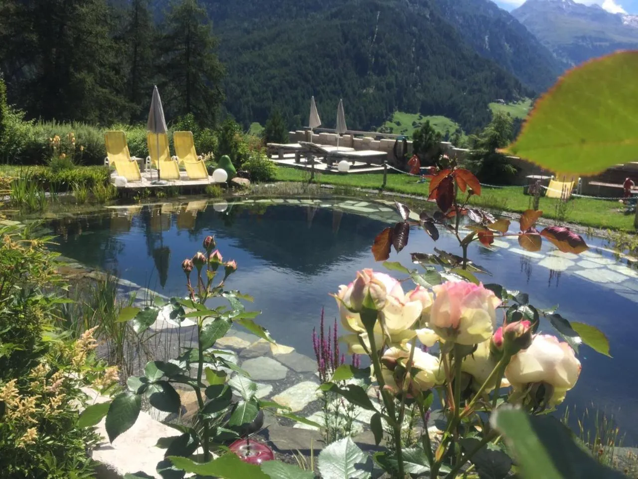 Spa and wellness centre/facilities in Alpengasthof Grüner, Ski In & Ski Out