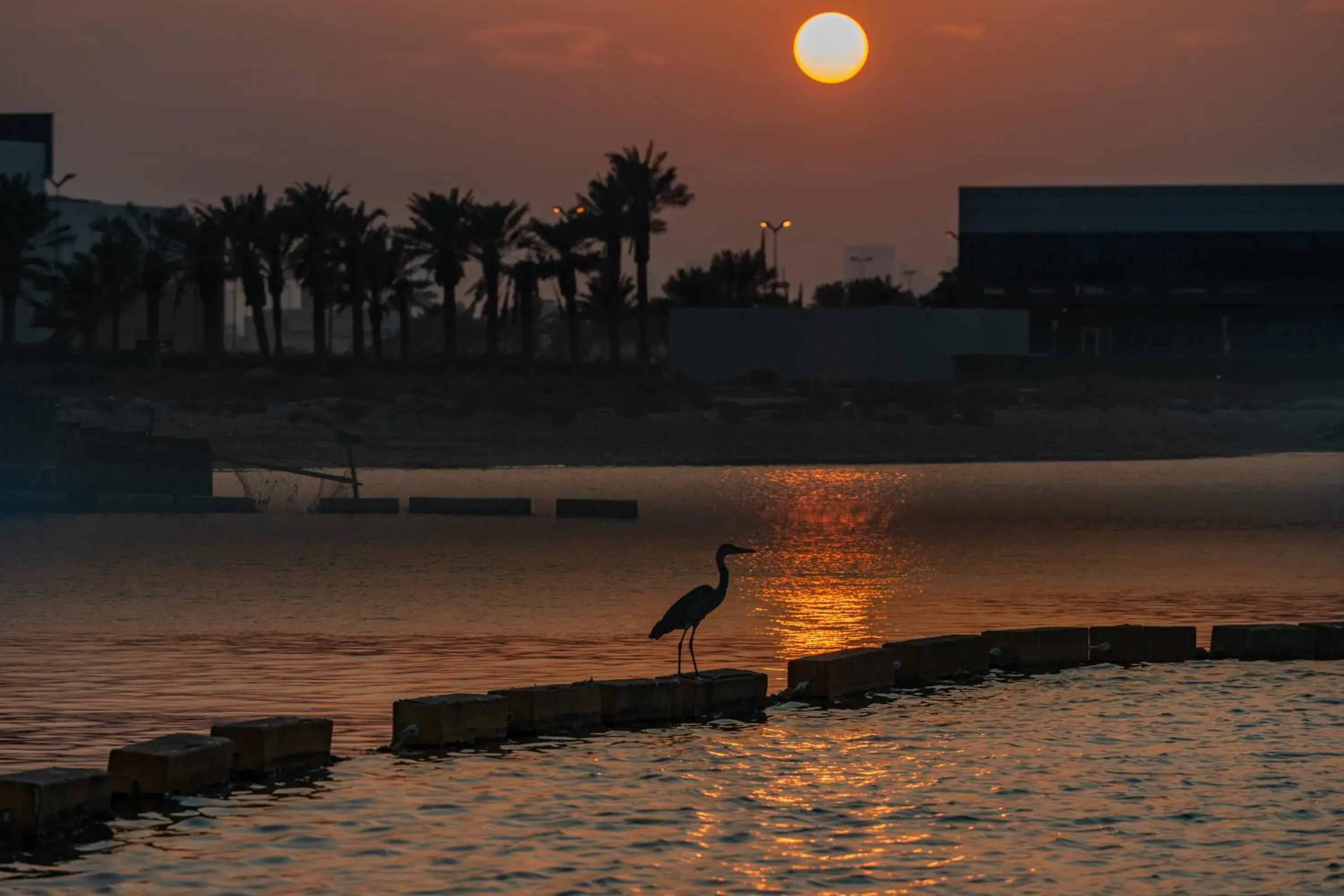 Restaurant/places to eat in The Grove Resort Bahrain Restaurant/places to eat in The Grove Resort Bahrain