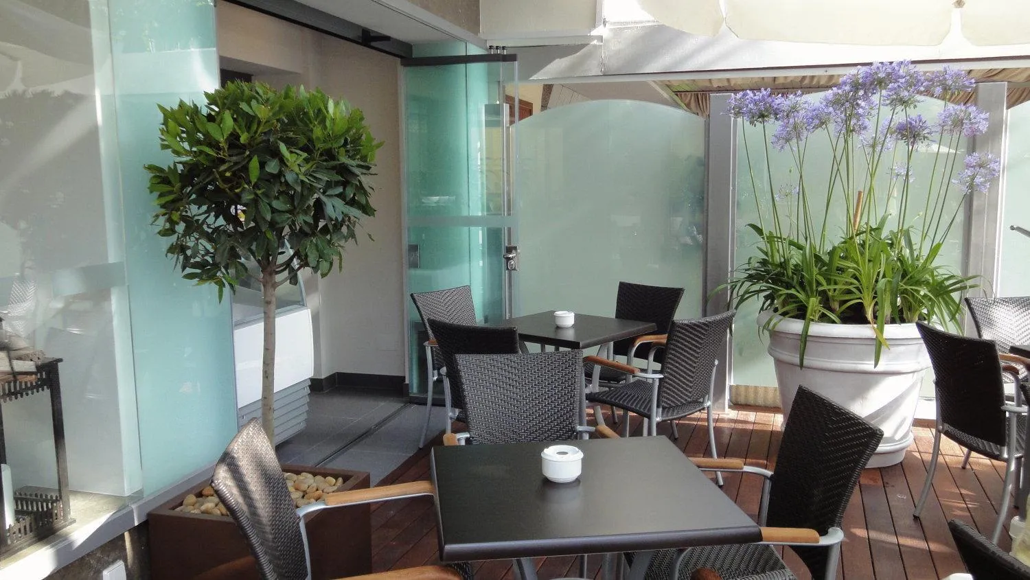 Spring in Hotel Avenida 31