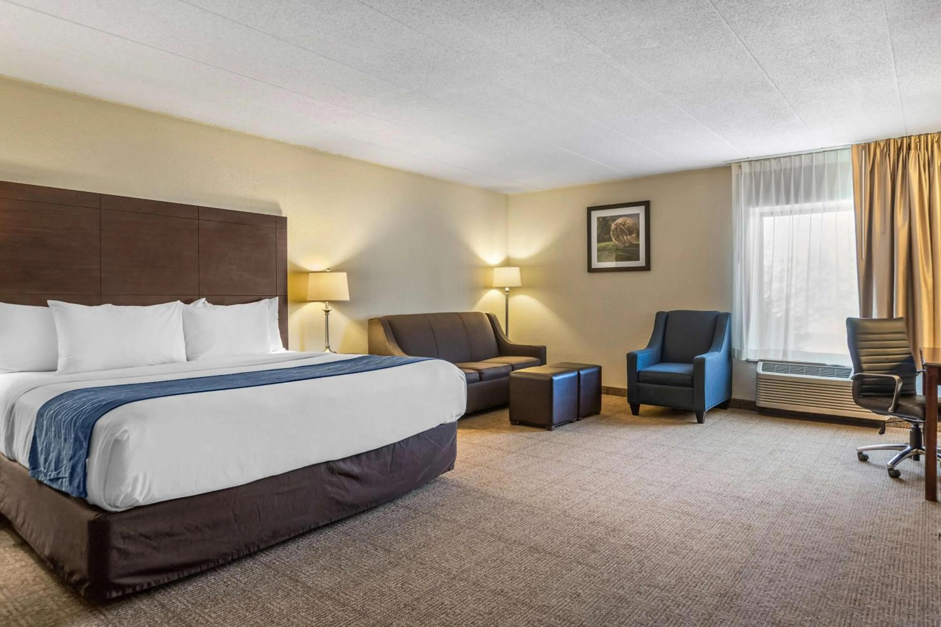 Photo of the whole room, Bed in Comfort Inn Grand Rapids Airport