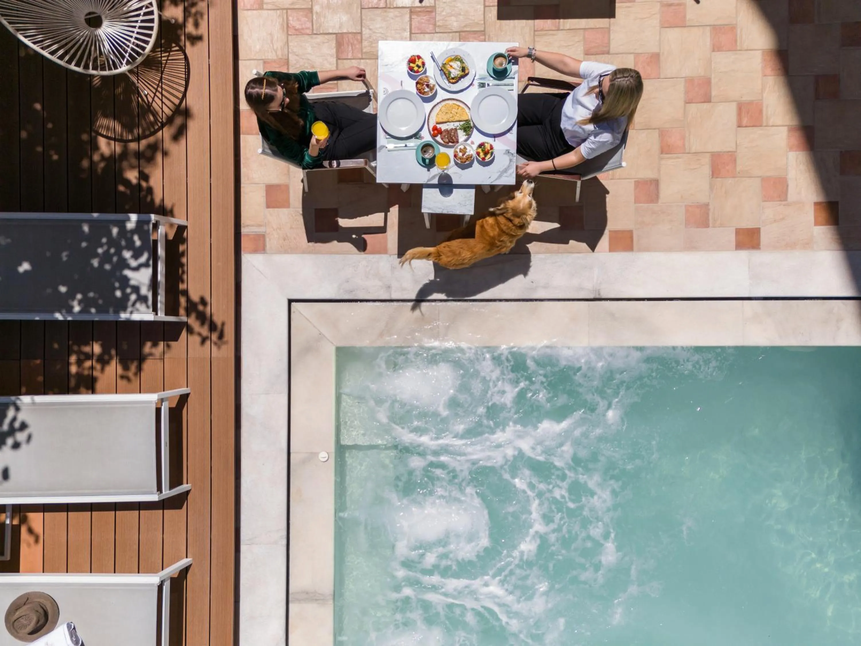 Pets in Eliza Hotel by Panel Hospitality