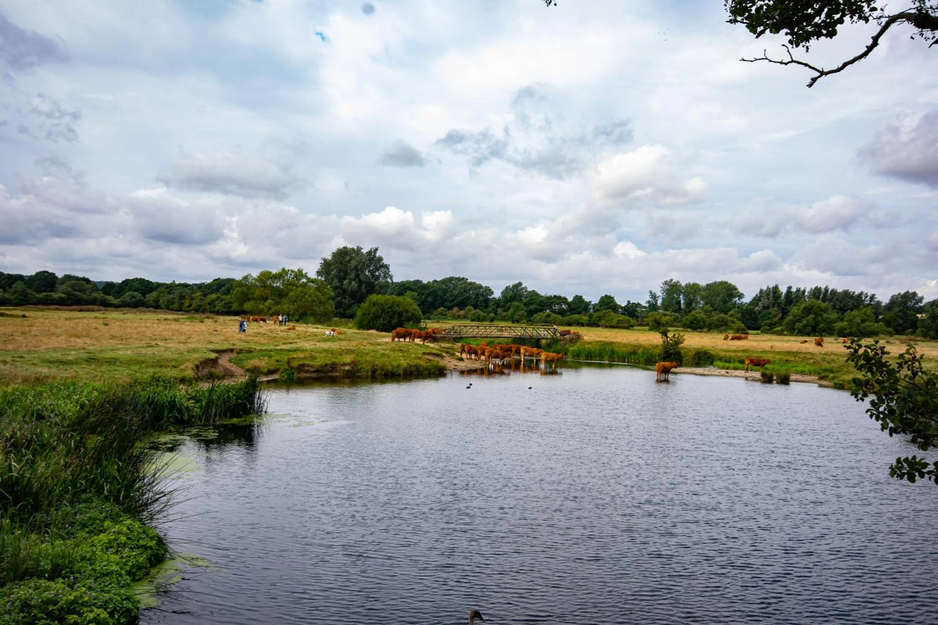 Natural landscape in The Mill Hotel Sudbury