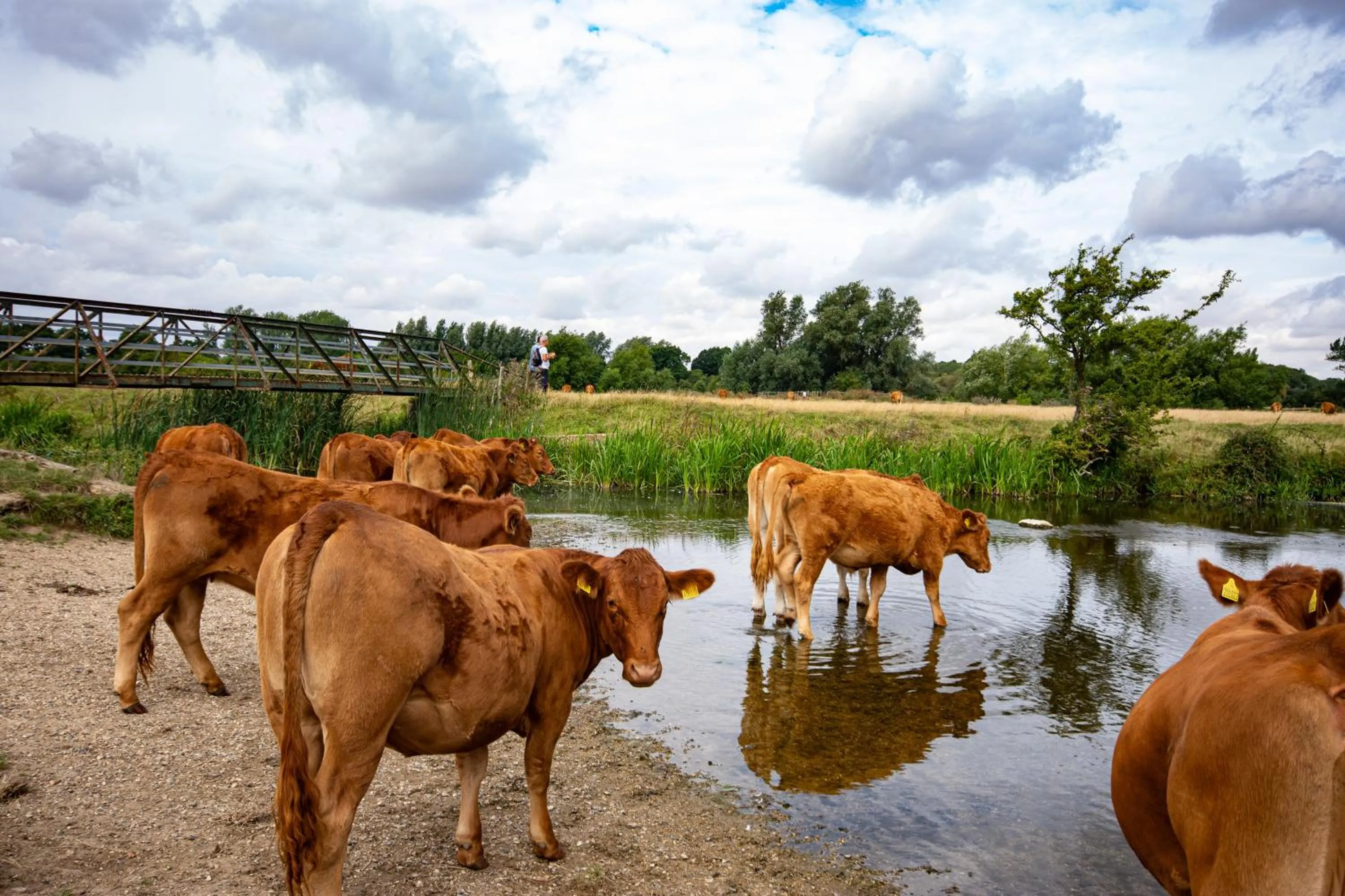 Natural landscape in The Mill Hotel Sudbury