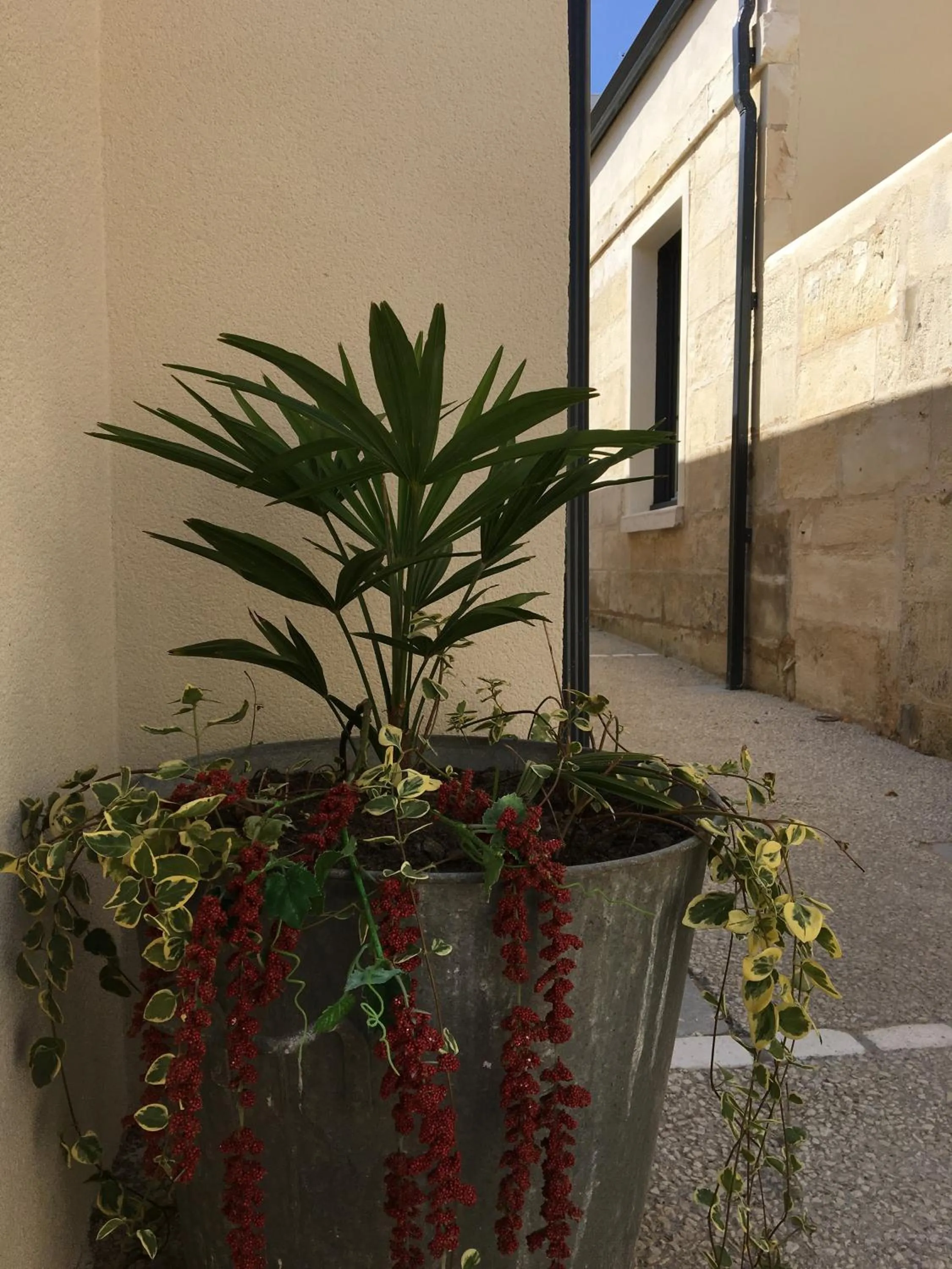 Facade/entrance in Le Clos du Square - climatisé