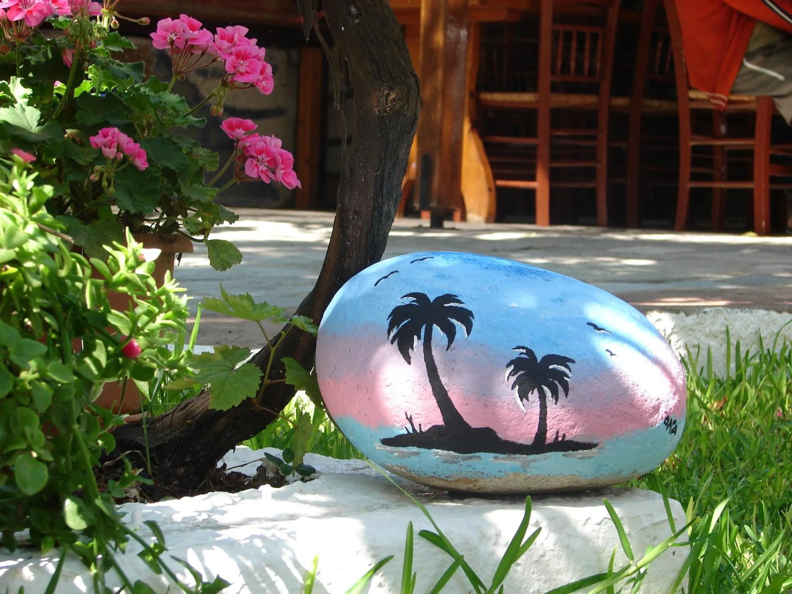 Garden in Hotel Alexandra