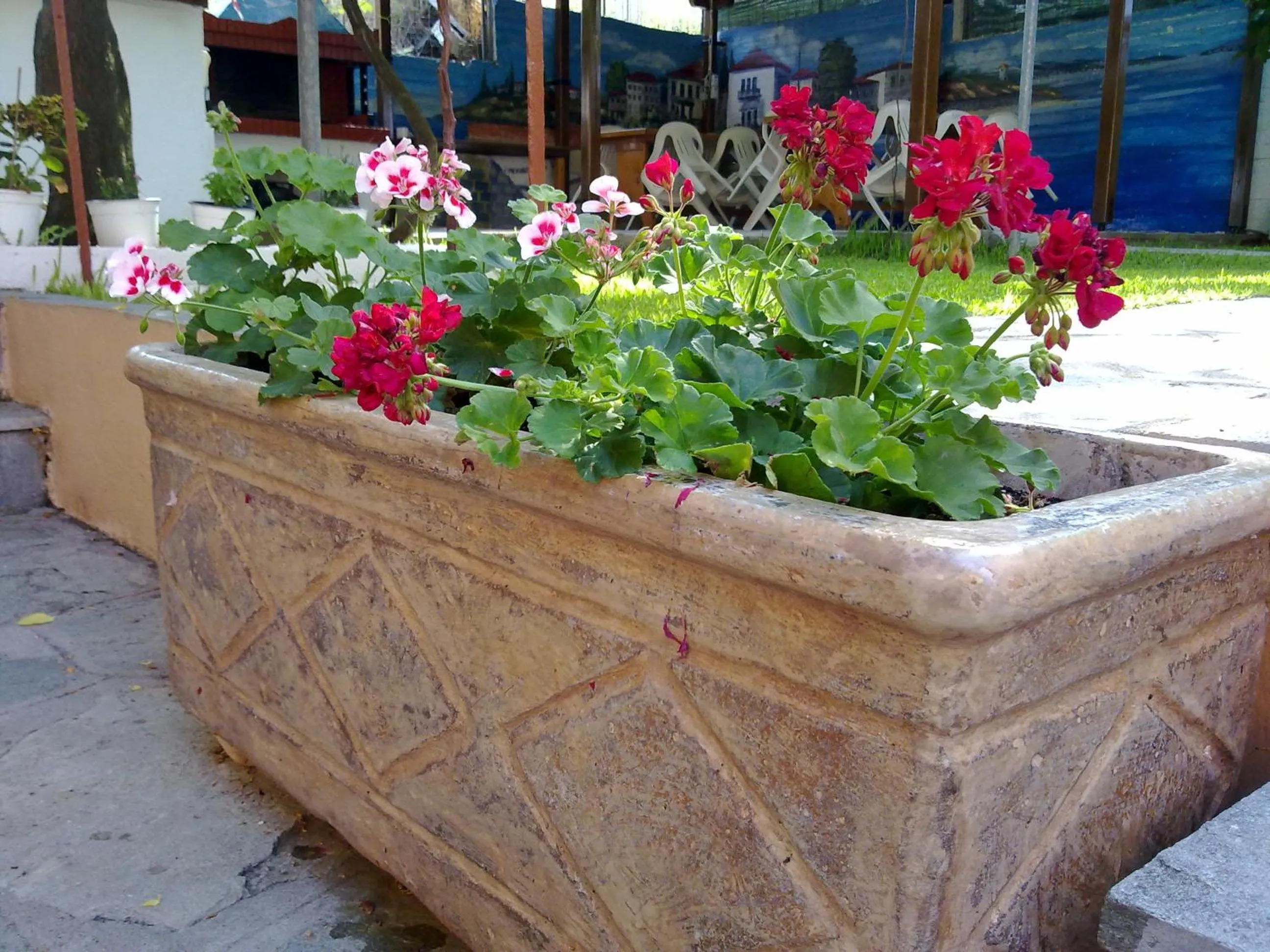 Garden in Hotel Alexandra