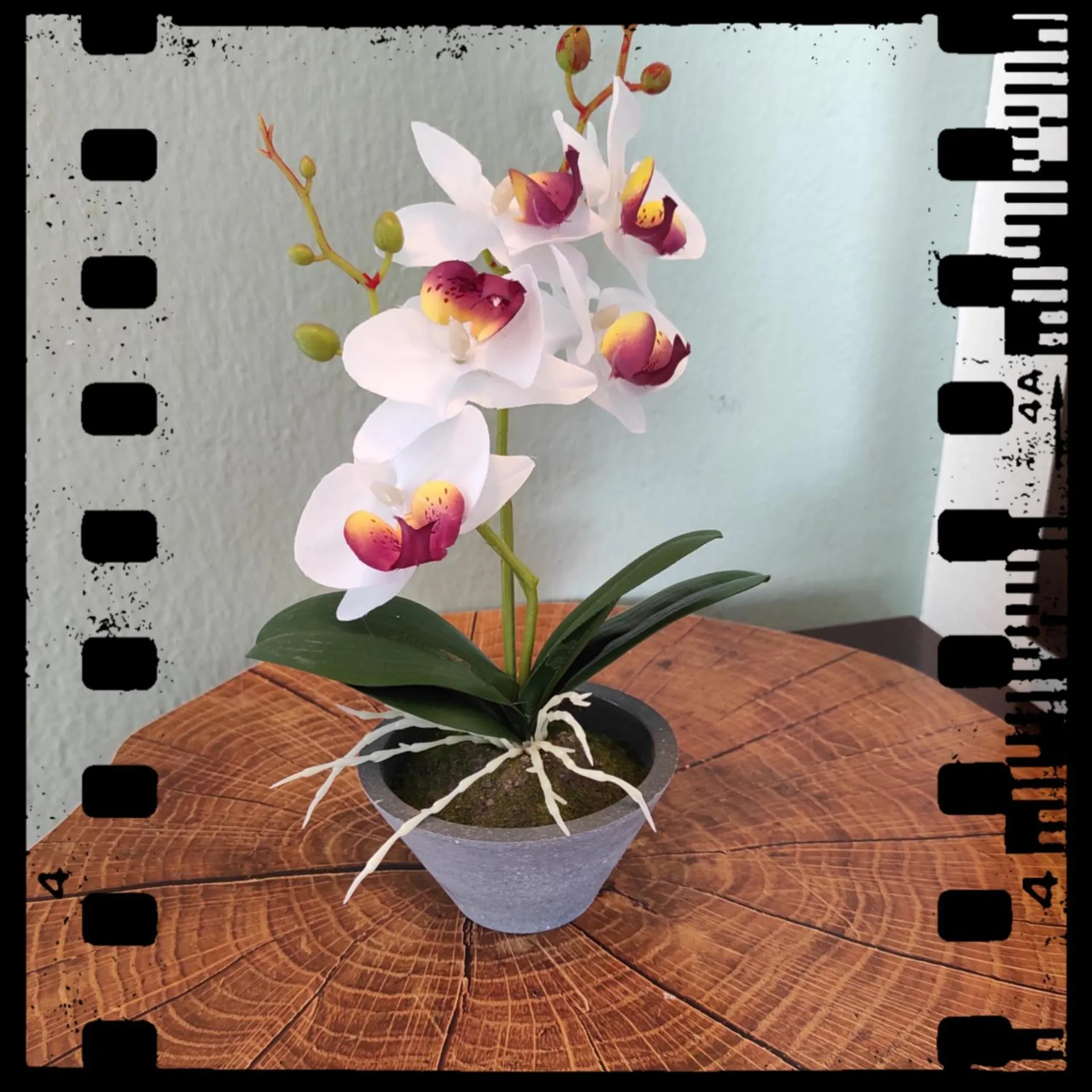 Decorative detail in Hotel Alexandra