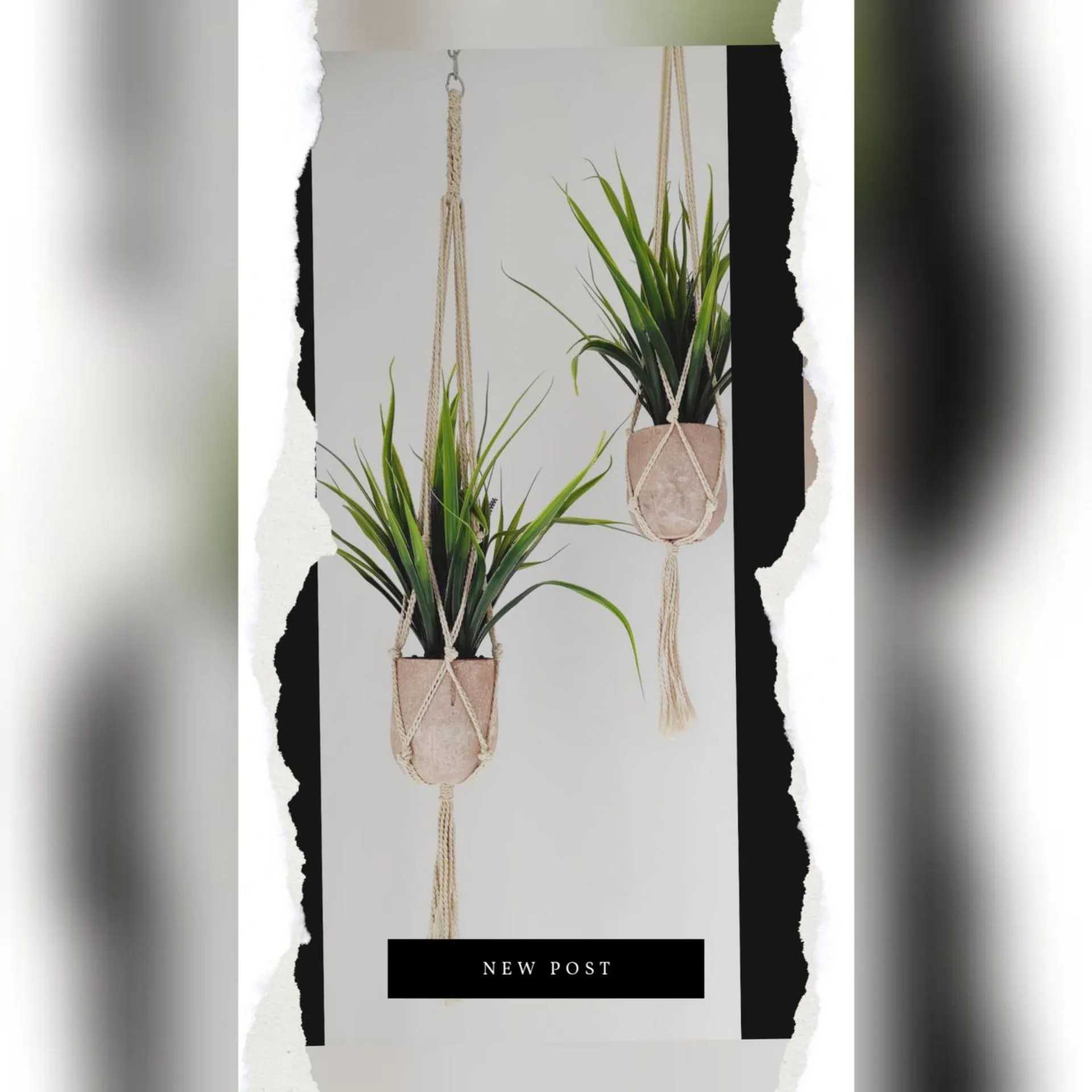 Decorative detail in Hotel Alexandra