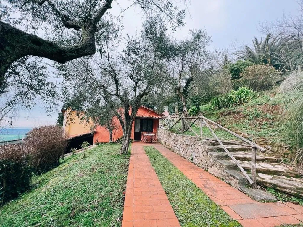 Spring in Borgo degli Aranci