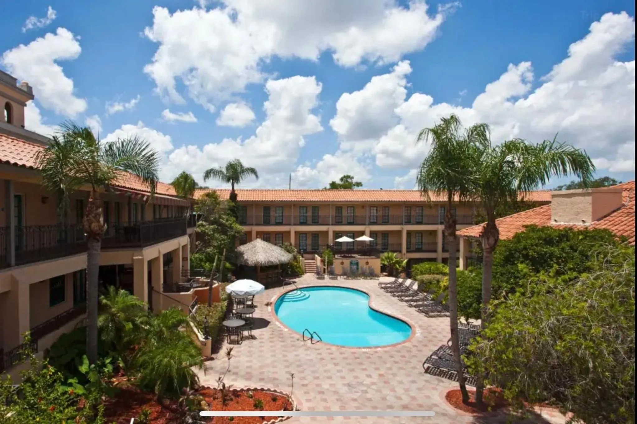 Swimming pool in Red Roof Inn PLUS & Suites Tampa