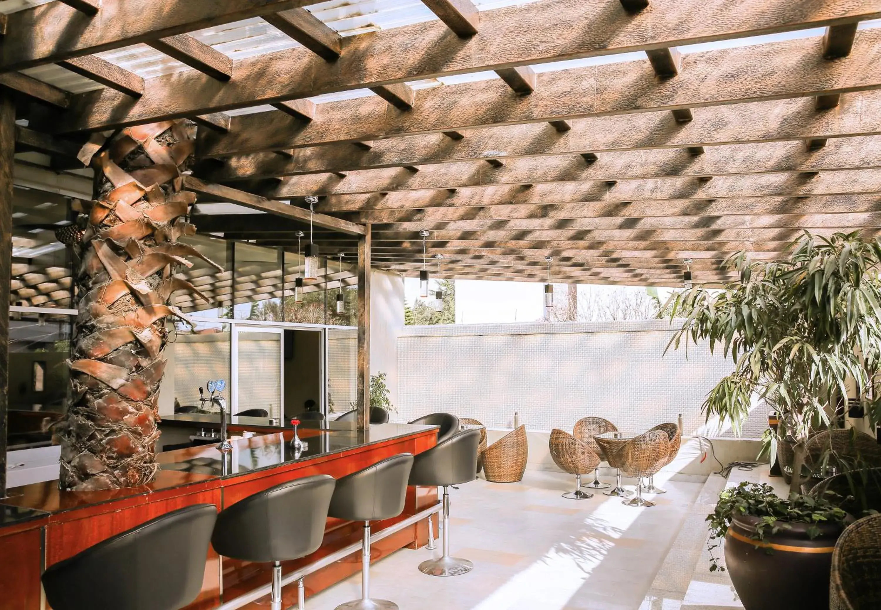 Lounge or bar in Magnolia Hotel & Conference Center Lounge or bar in Magnolia Hotel & Conference Center