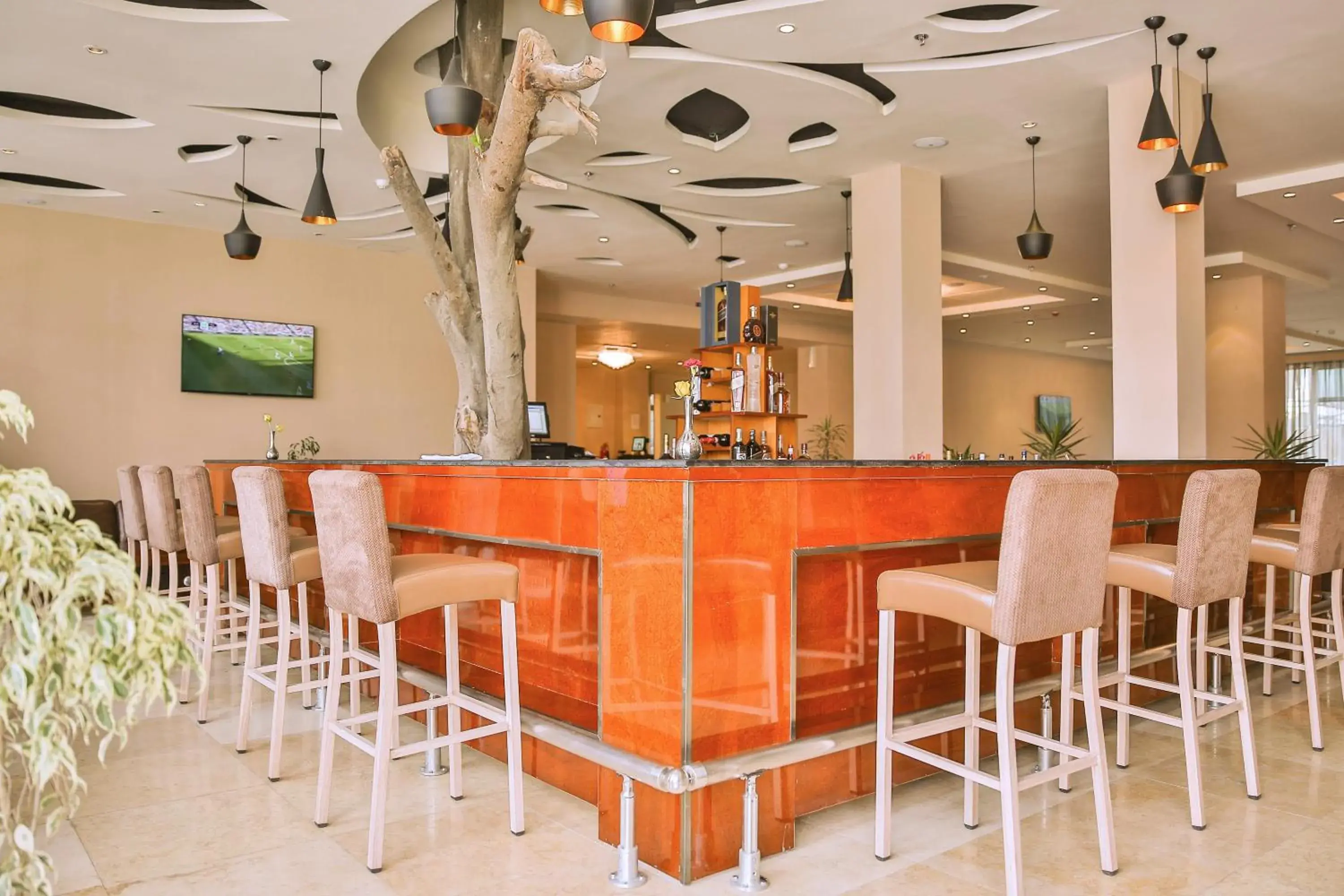 Lounge or bar in Magnolia Hotel & Conference Center Lounge or bar in Magnolia Hotel & Conference Center