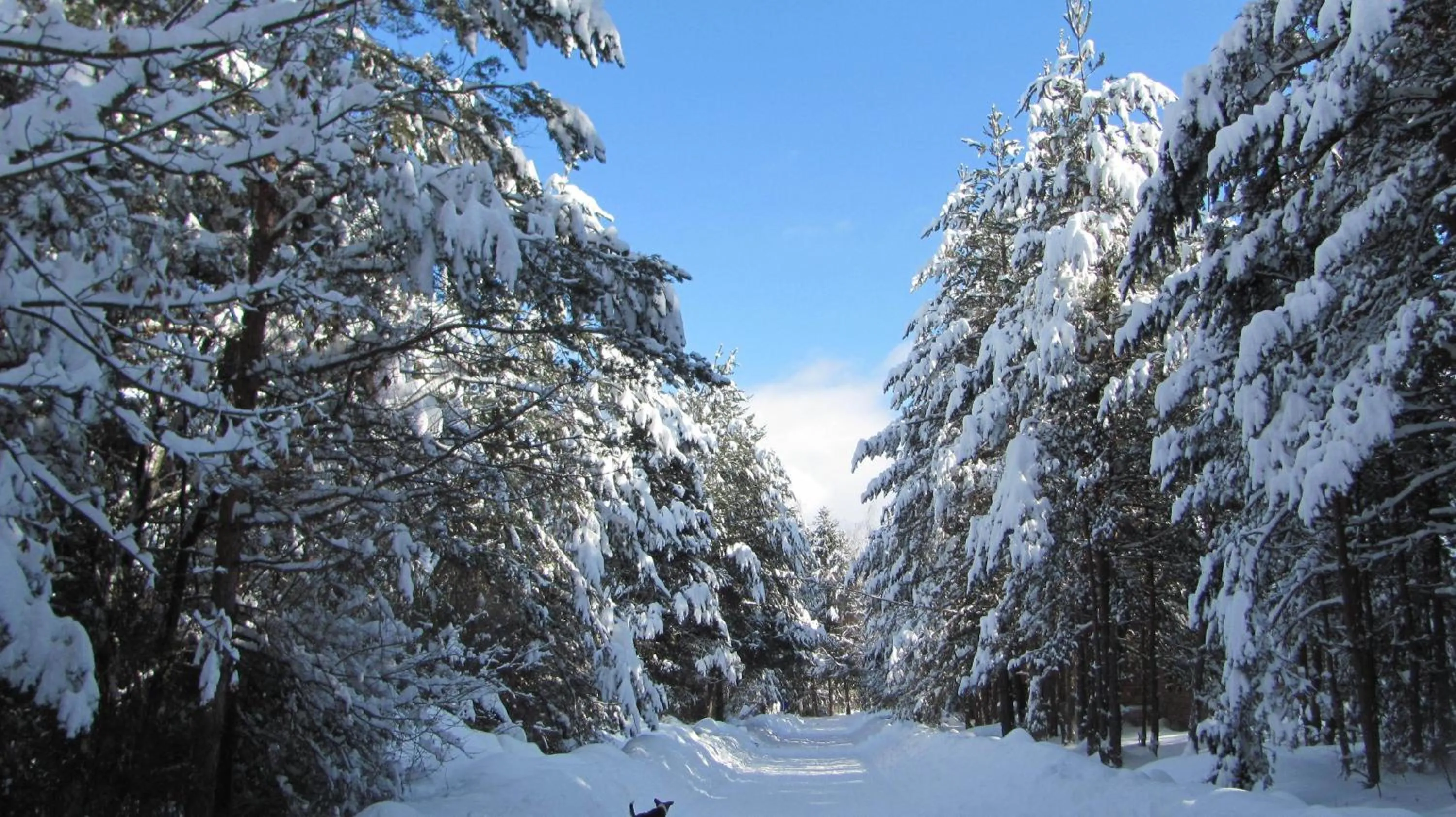 Winter in Family Hotel Eterno