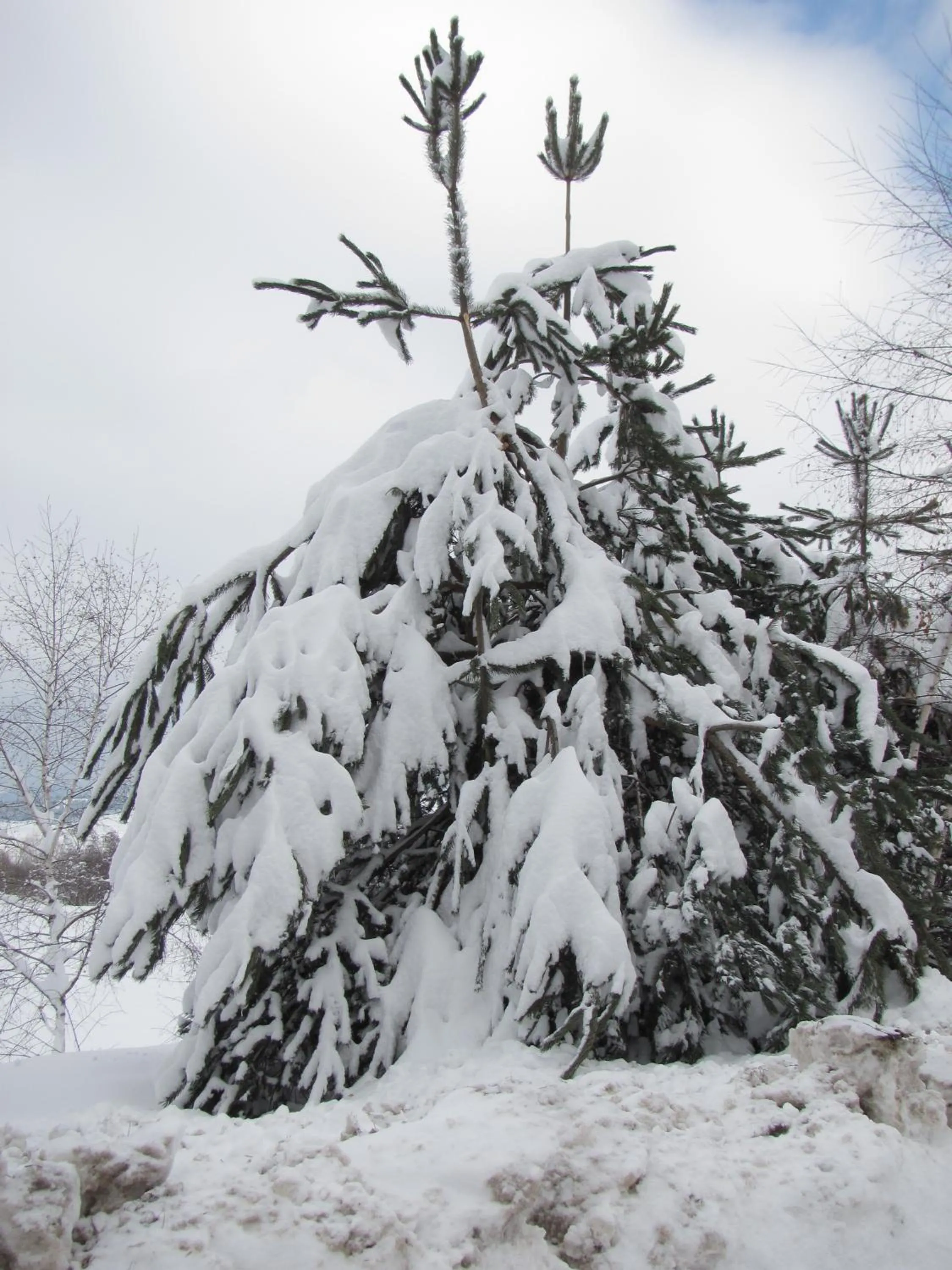 Other in Family Hotel Eterno