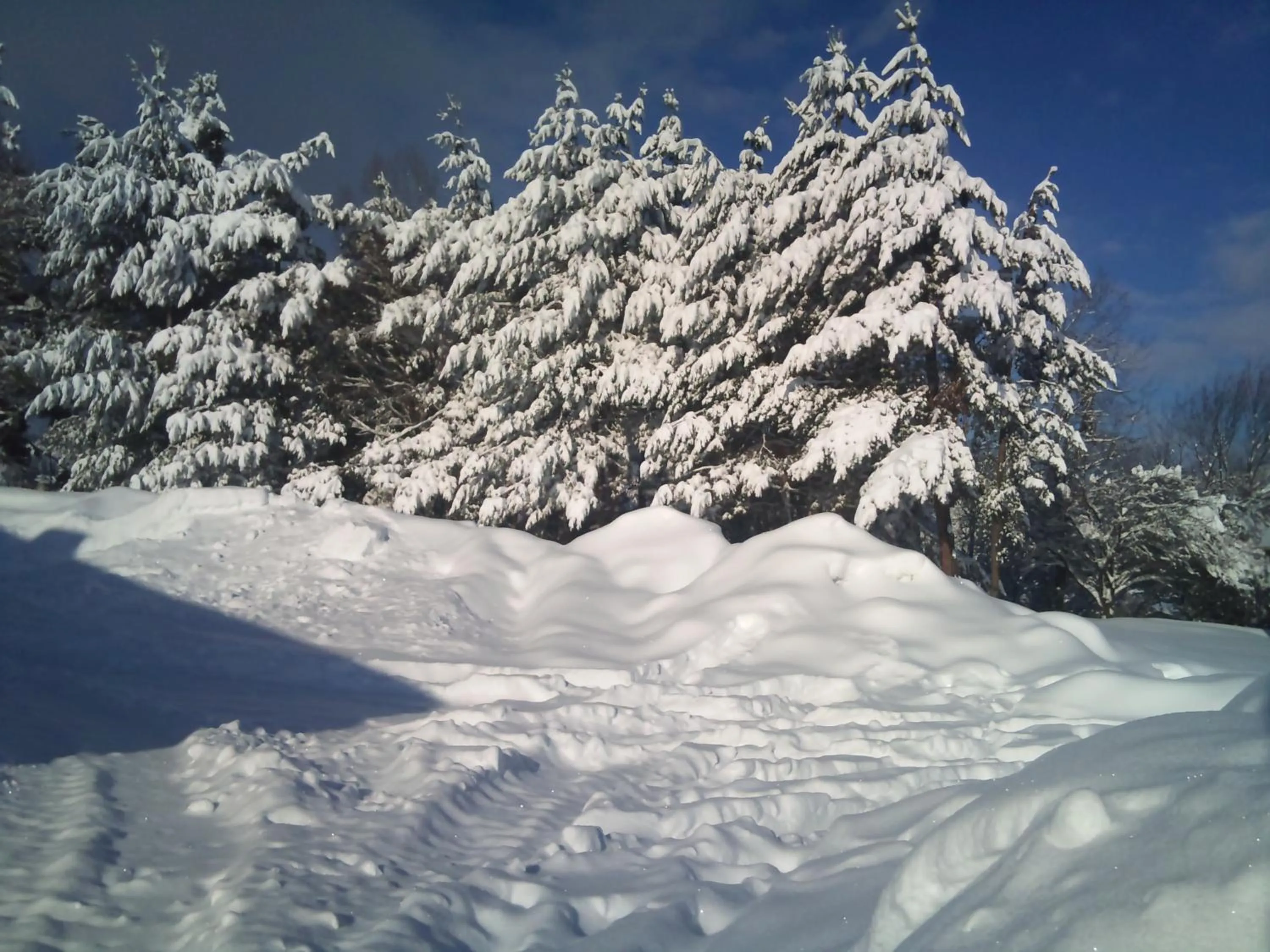 Other in Family Hotel Eterno