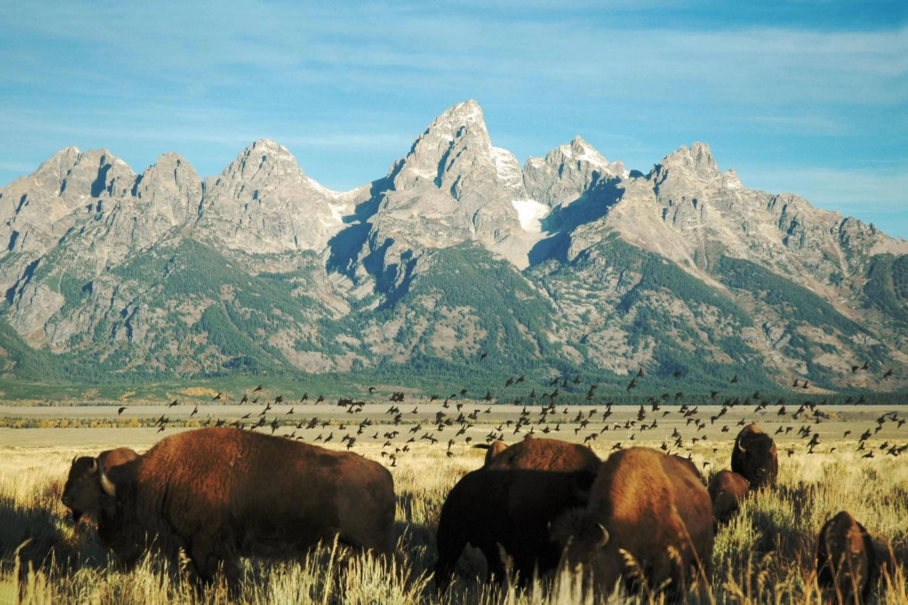 Off site in The Rusty Parrot Lodge and Spa